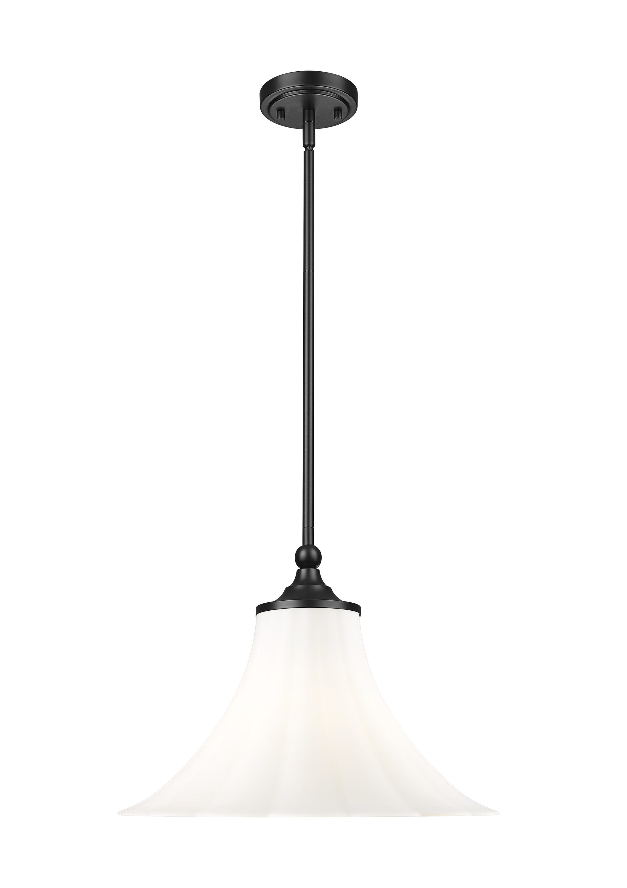 Z-Lite Fleur Matte Black 12.5 in 1 Light Pendant