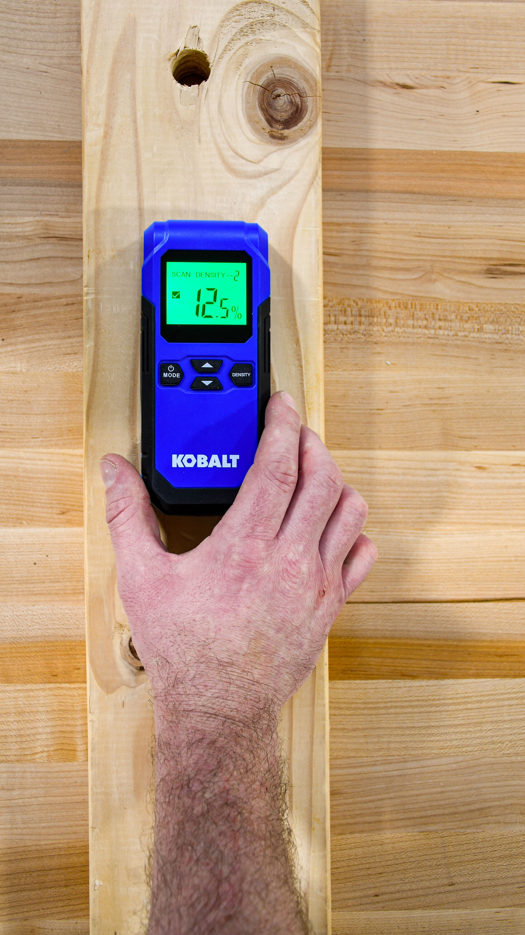 Kobalt Digital Moisture Meter in the Moisture Meters department at