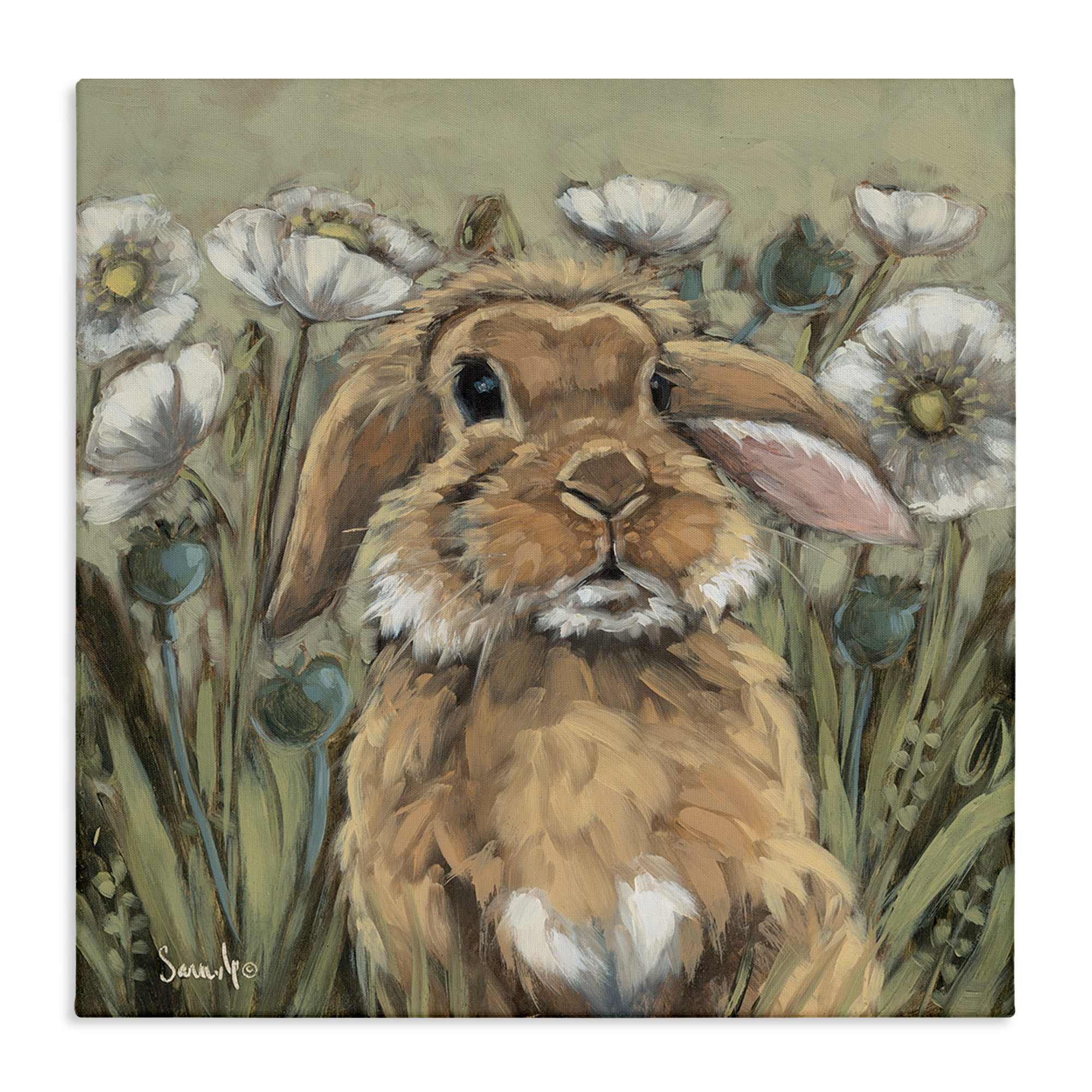 Stupell Industries BS-657-CN-17X17 Rabbit in Poppy Garden Canvas Wall Art By Sara G. Designs 17 x 17