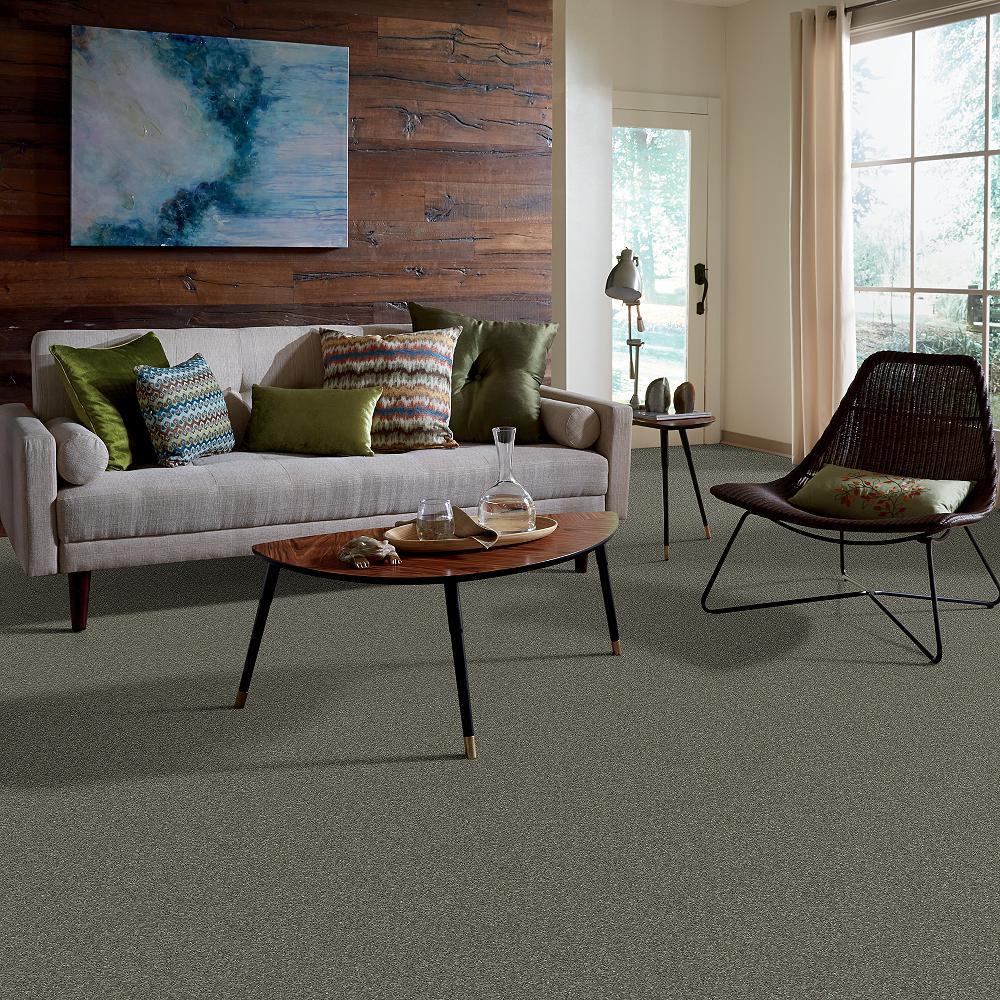 STAINMASTER 7L60500502 Carpet-Panel - View #5