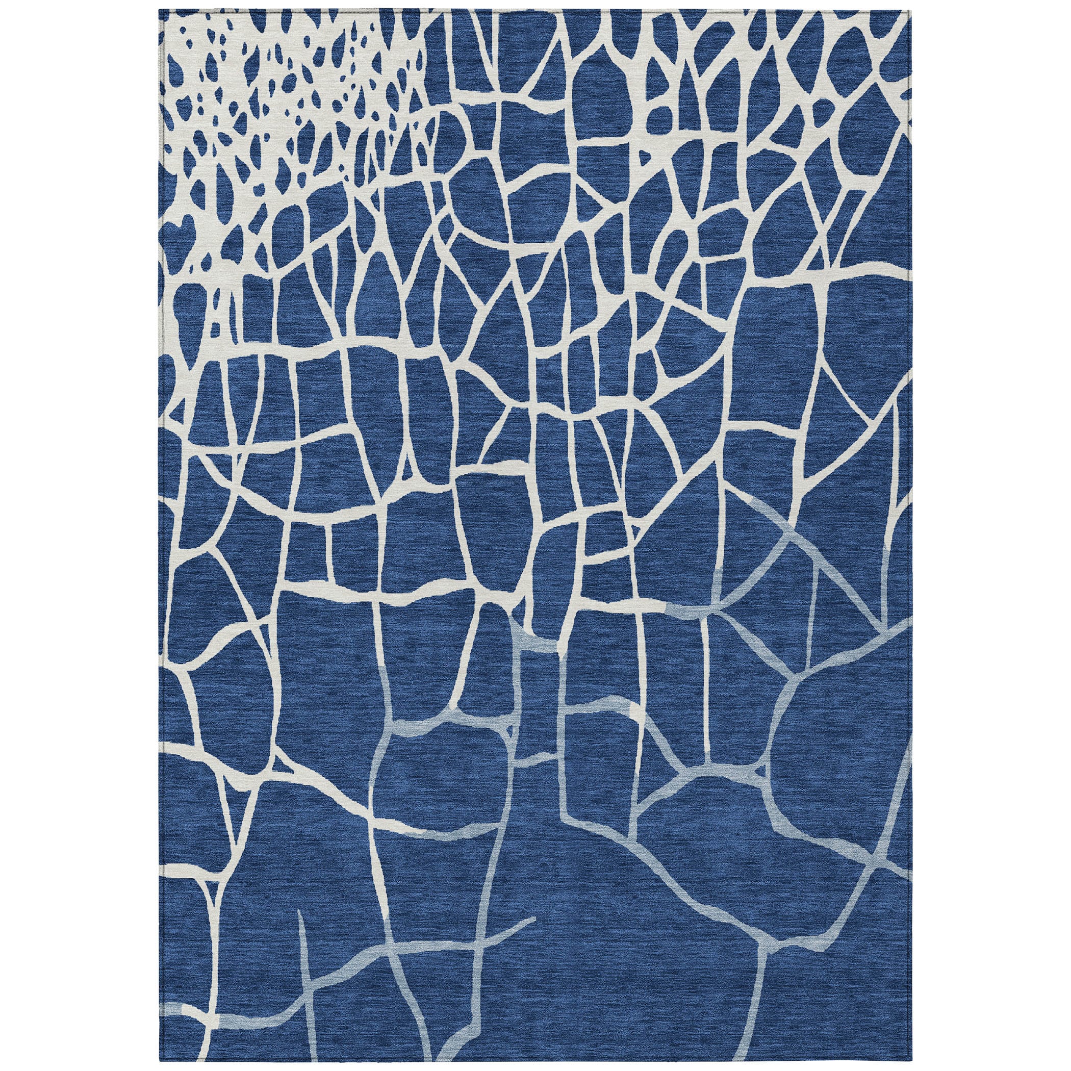 Addison Rugs ACN1049NA30X46 rugs - View #2