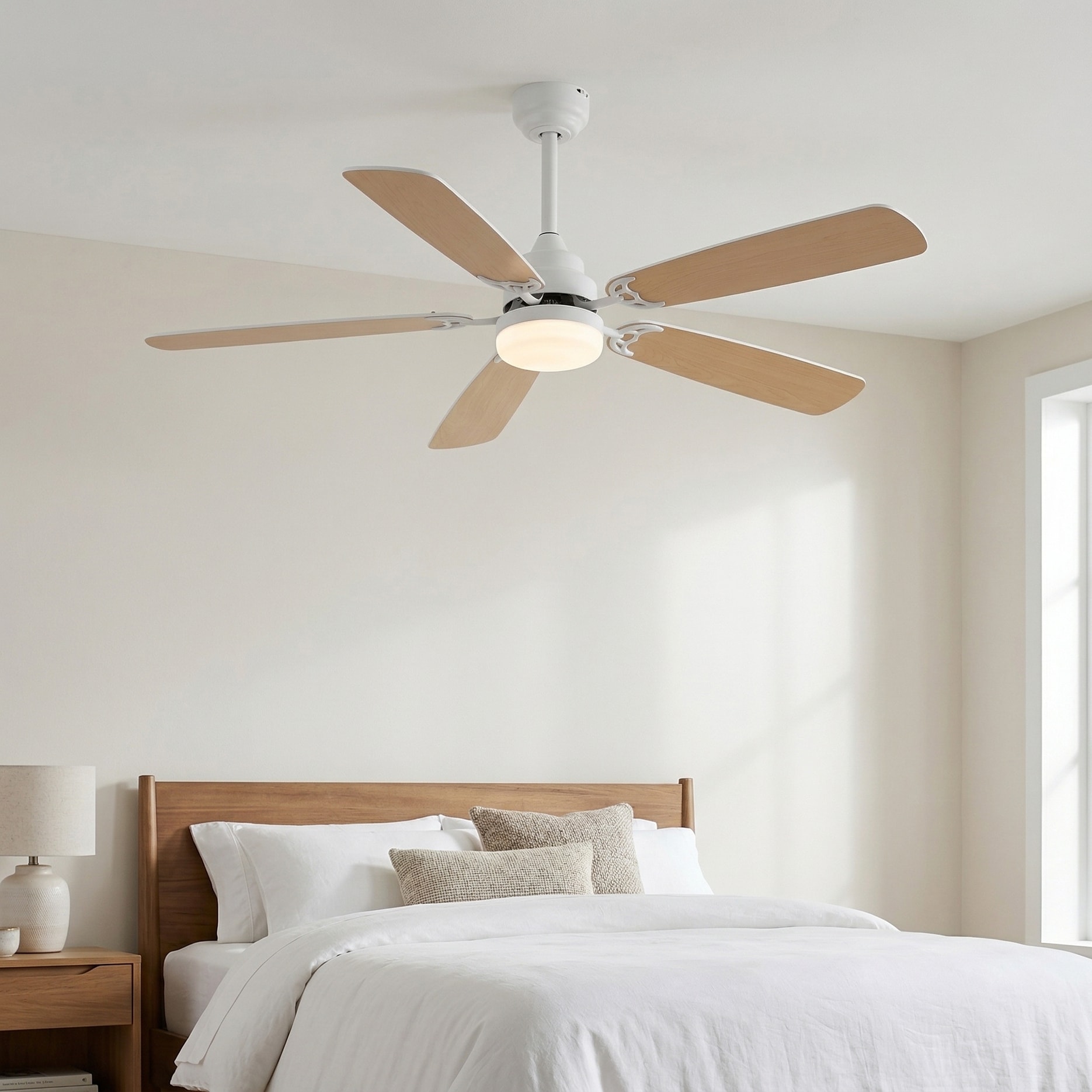 RCCFBHM RCCFBHM-FSDFS13299 Ceiling-Fans - View #9