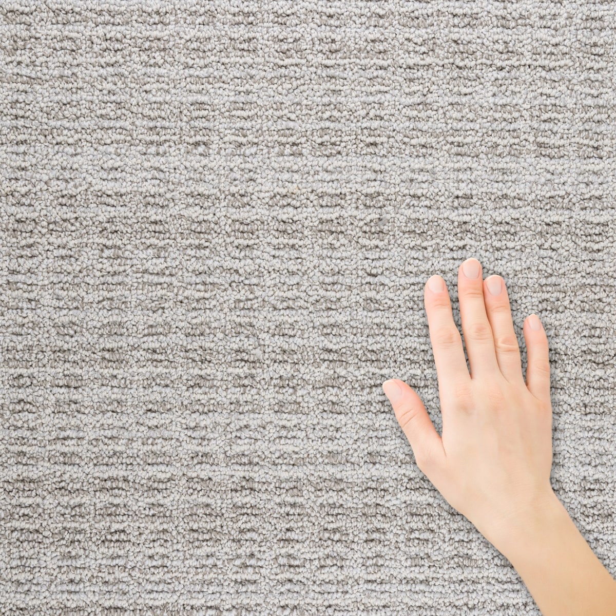 STAINMASTER L5023-8116-1200-AB Carpet-Panel - View #3