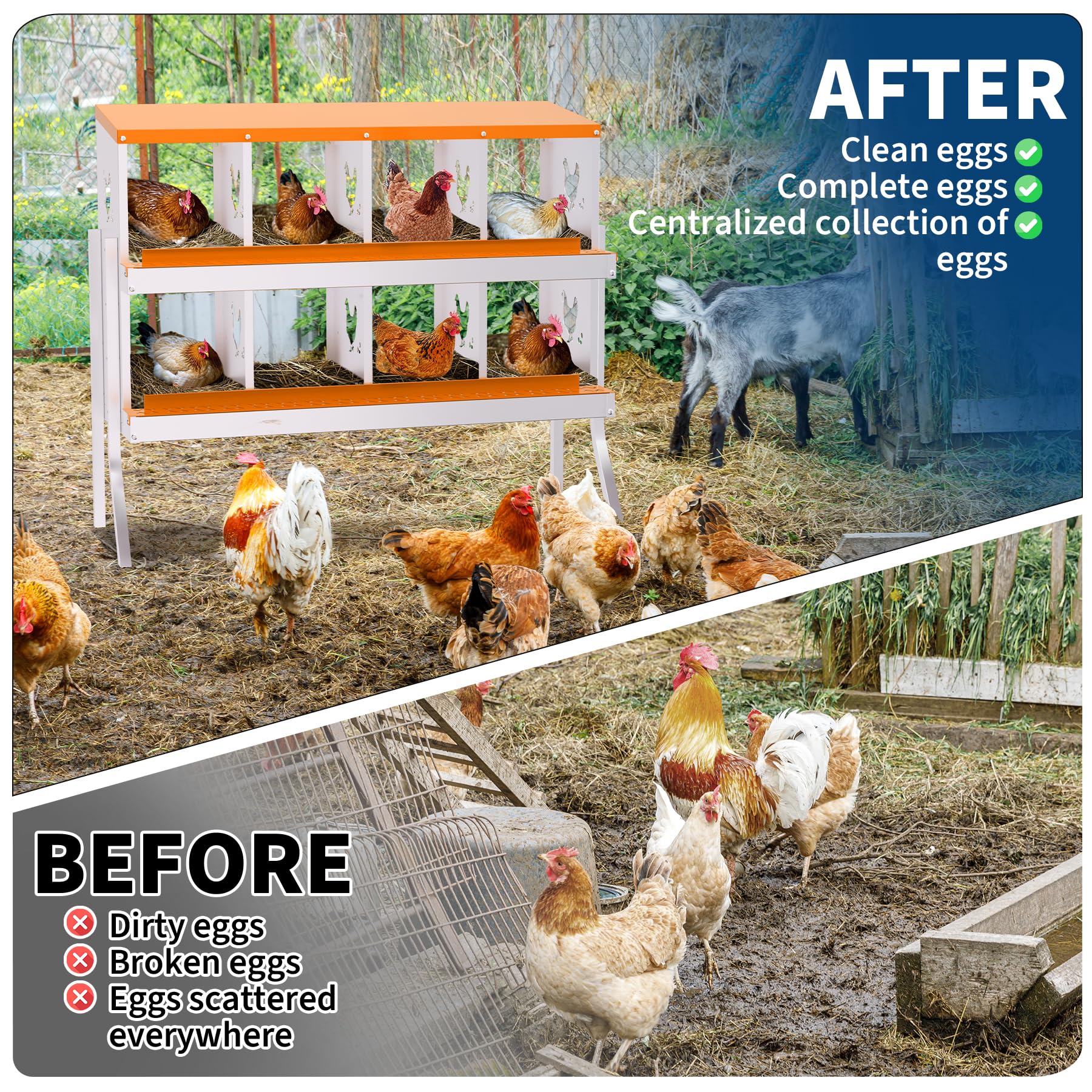 DEXSO ENCOREPPGBA8044 Chicken-Coops-Rabbit-Hutches - View #5