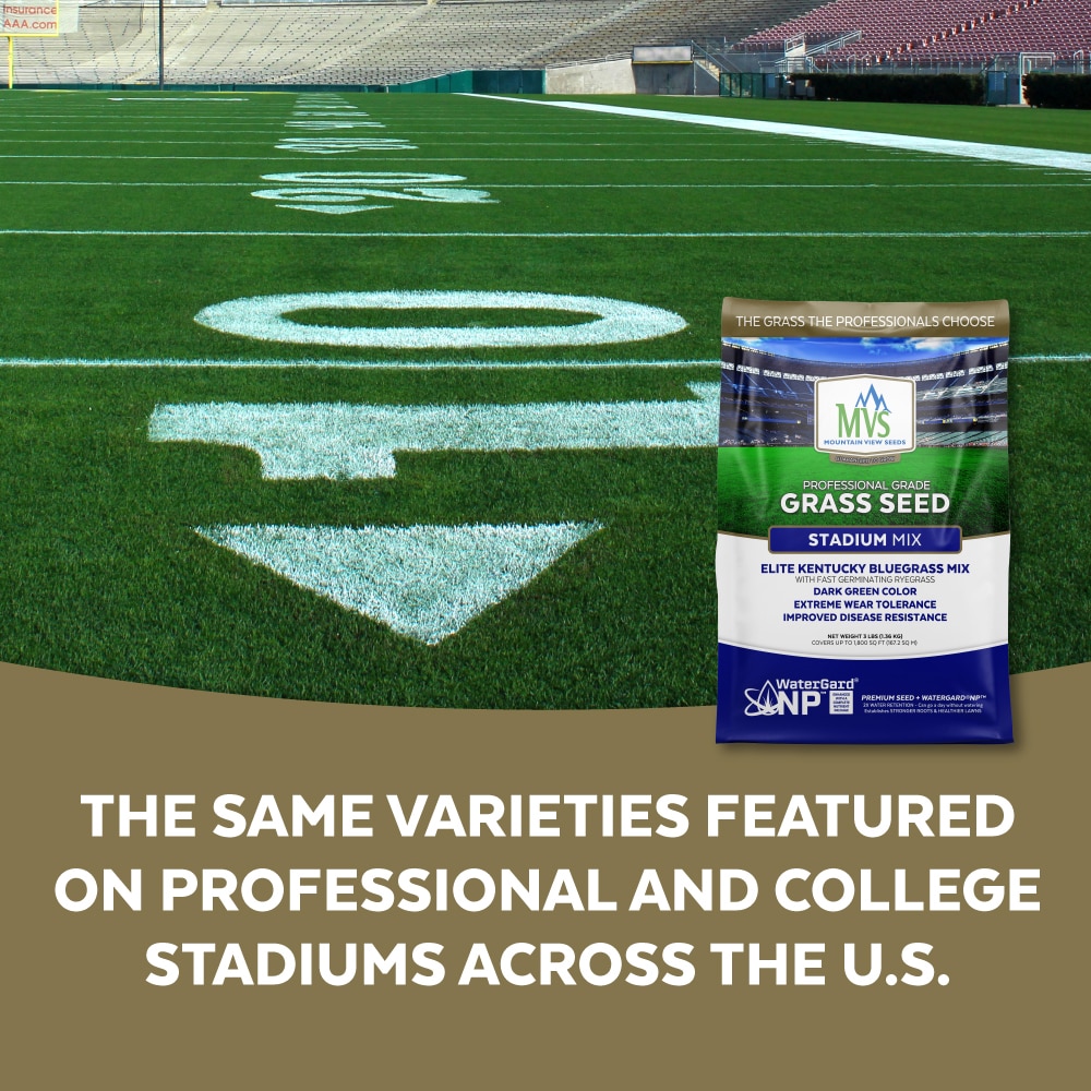 Mountain View Seeds 112020 Grass-Seed - View #6