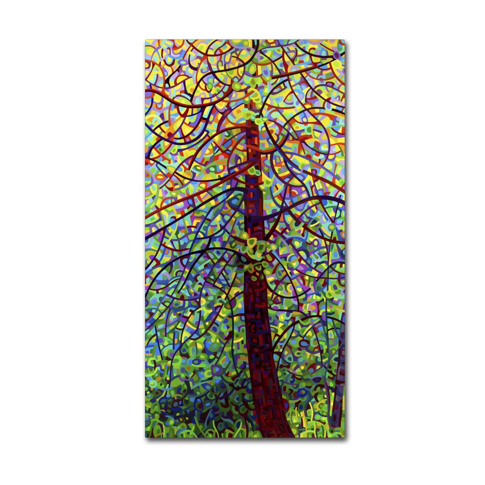 Trademark Fine Art ALI0925-C1632GG Framed 32-in H x 16-in W Abstract Print on Canvas