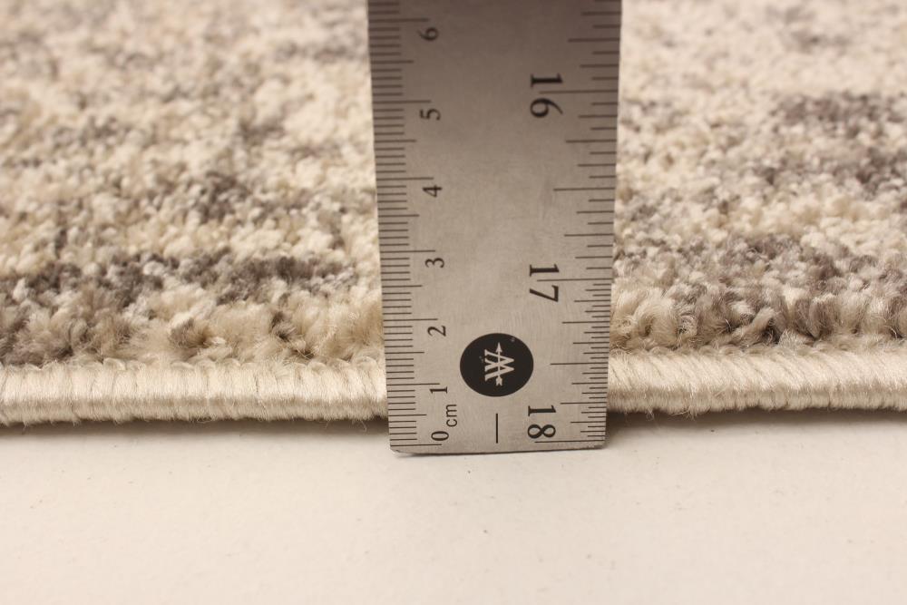 ECARPETGALLERY 345669 rugs - View #6