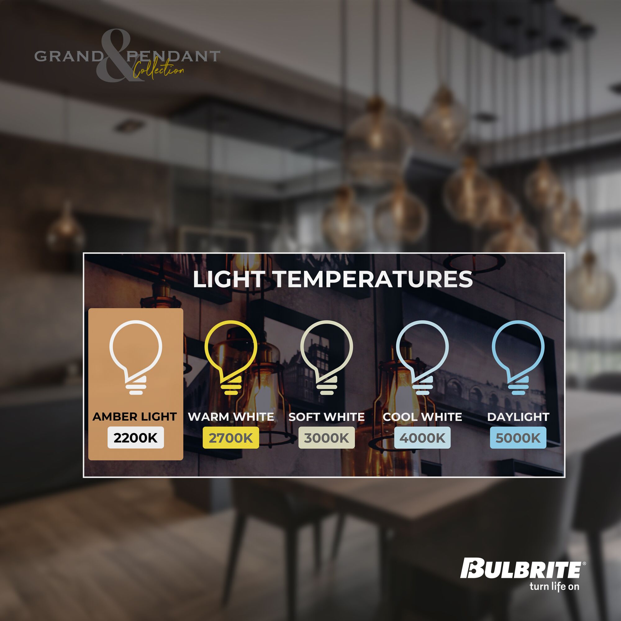 Bulbrite 810118 Pendant-Lights - View #5