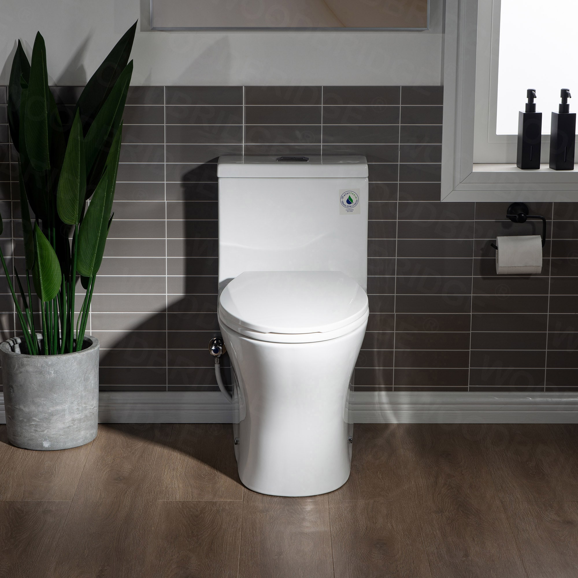 Woodbridge LT513 toilets - View #2