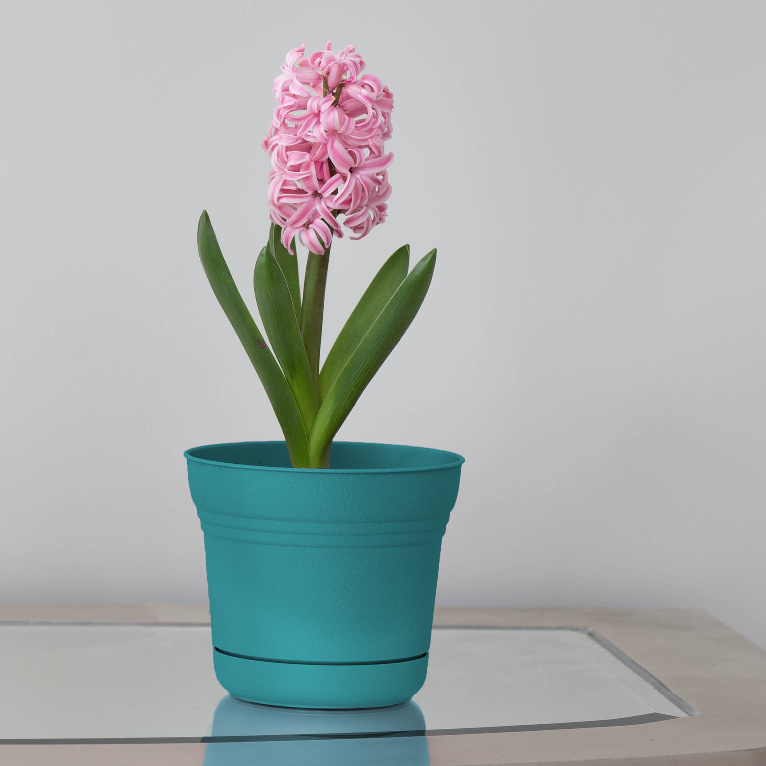 Bloem DCB-SATMIX18 Planter-Window-Box - View #2