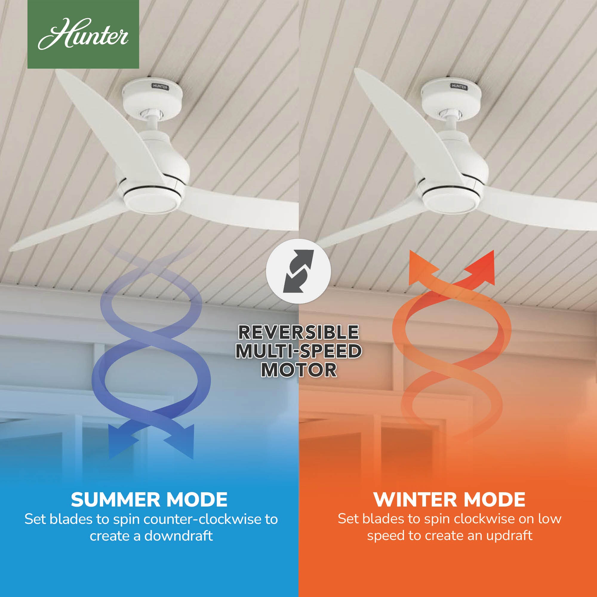 Hunter 52830 Ceiling-Fans - View #7
