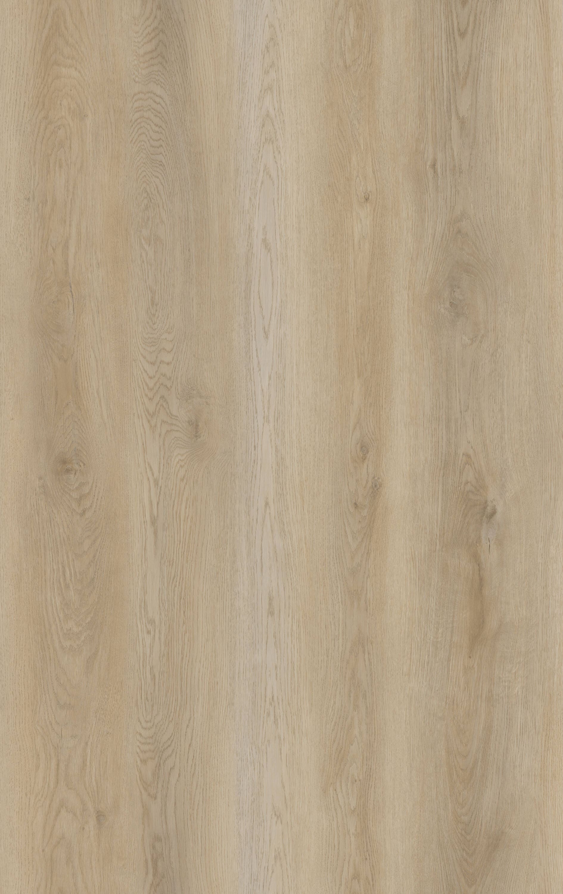 STAINMASTER (Sample) Aubrey Oak Luxury Vinyl Plank at