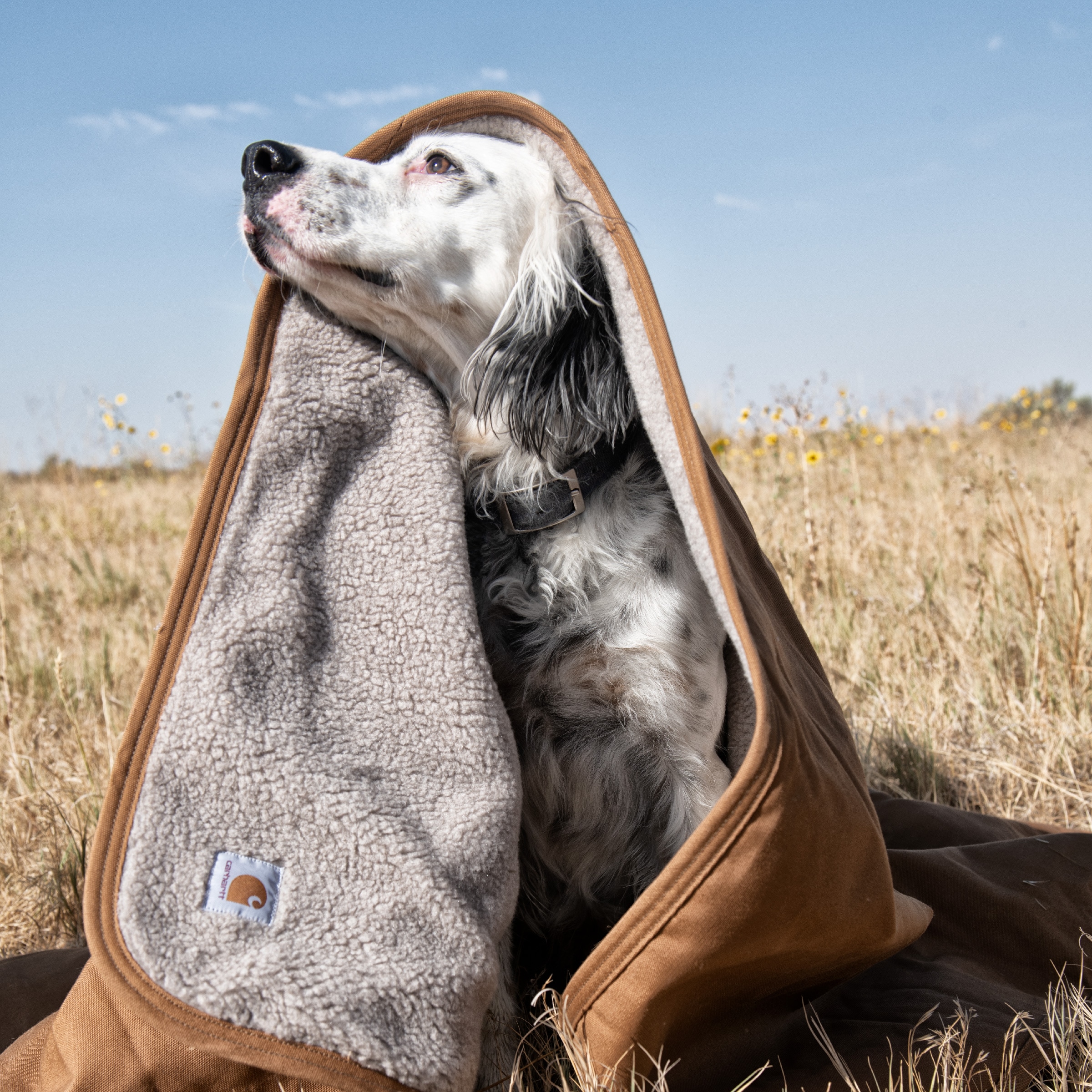 Carhartt P000053720199 Pet-Beds - View #5