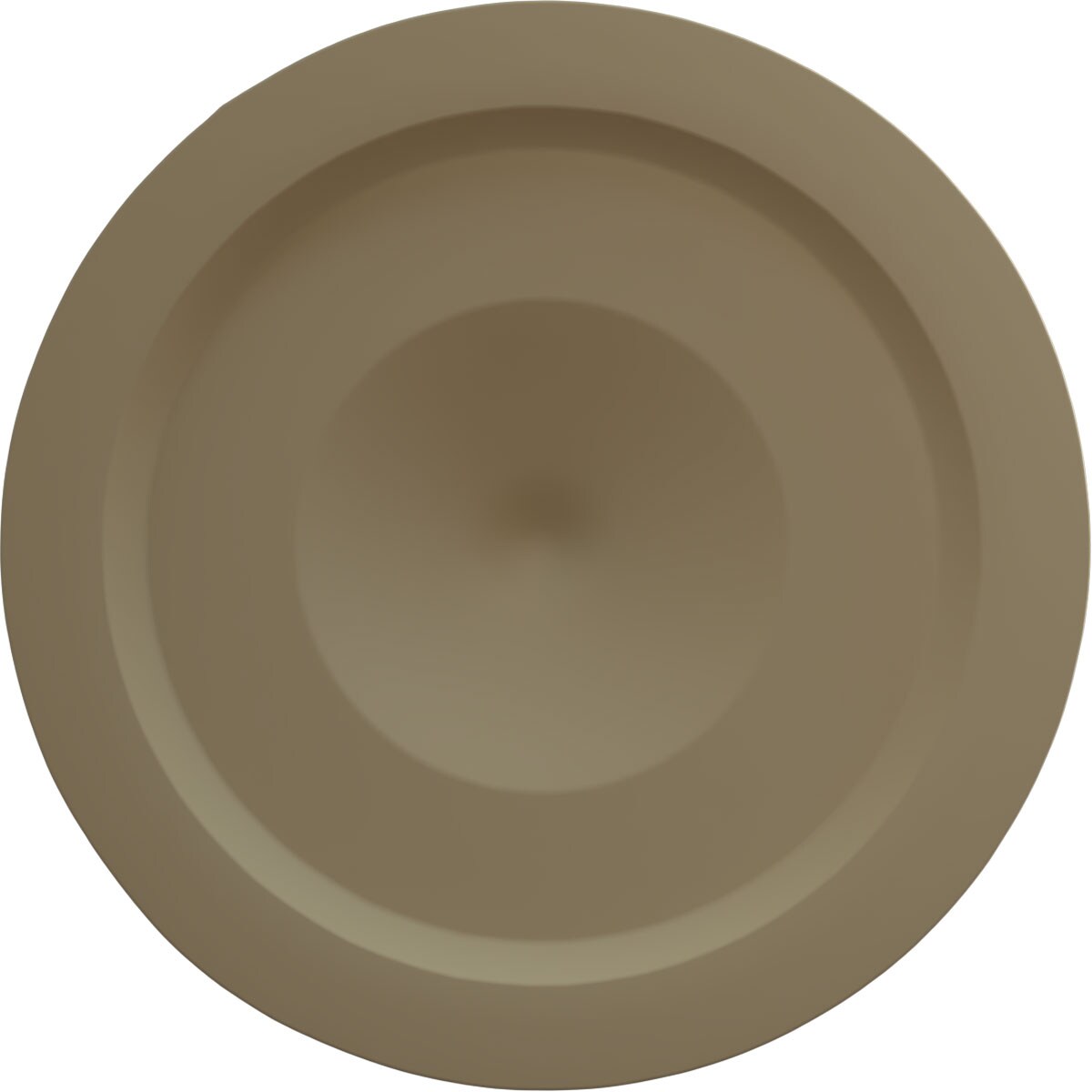 Ekena Millwork CM12FLRUS Ceiling-Medallions - View #4