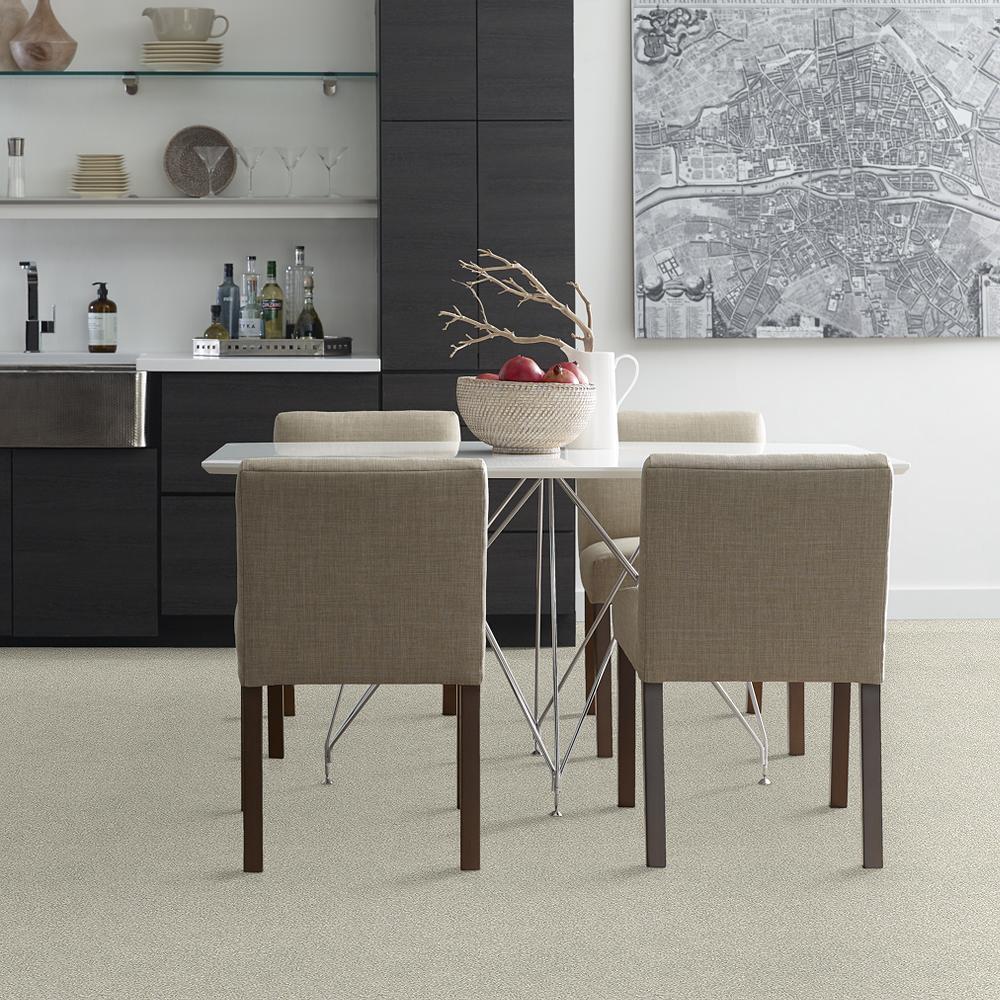 STAINMASTER C707400005  - View #3