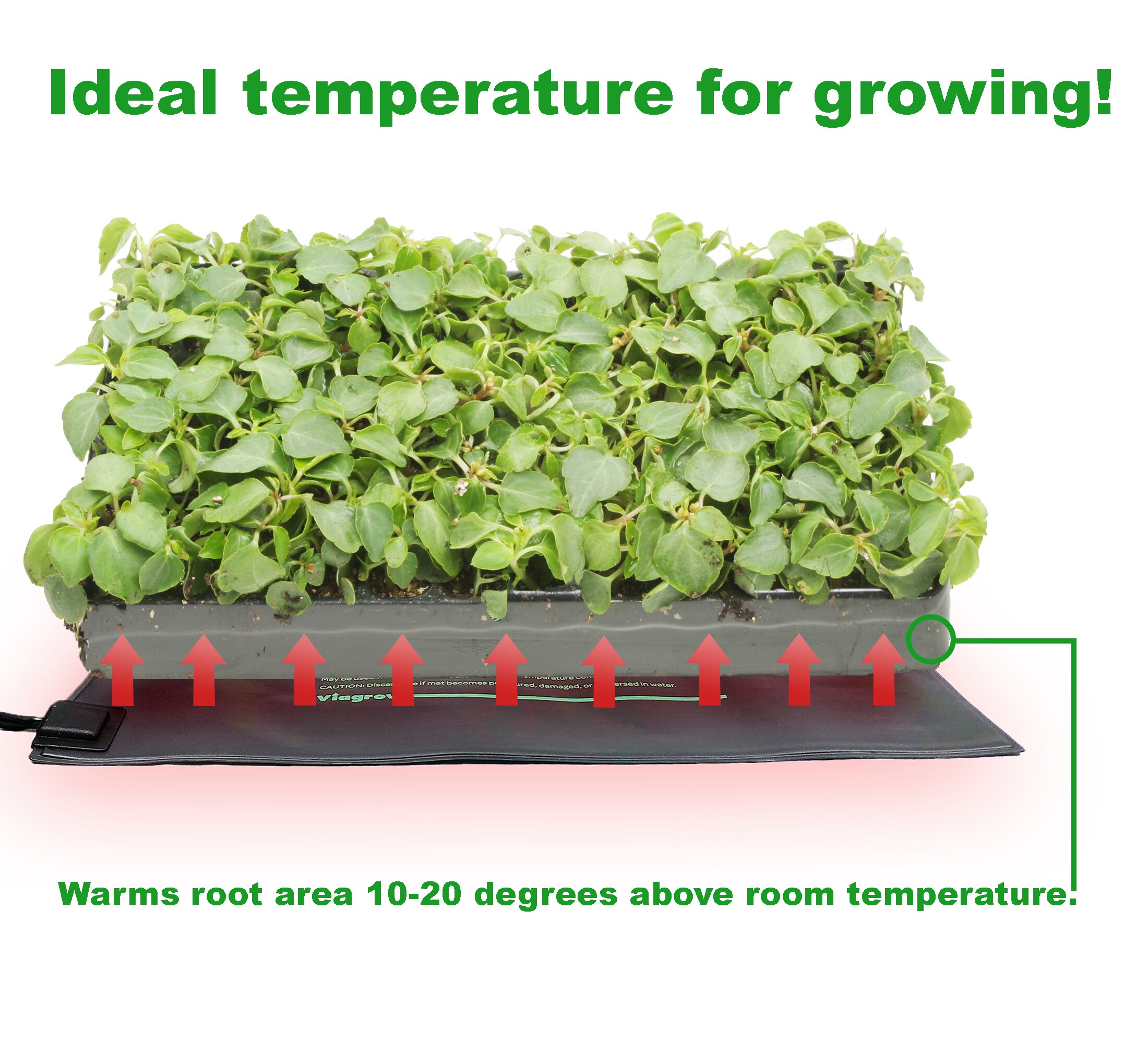 Viagrow VSEEDMAT Seed-Starters - View #5