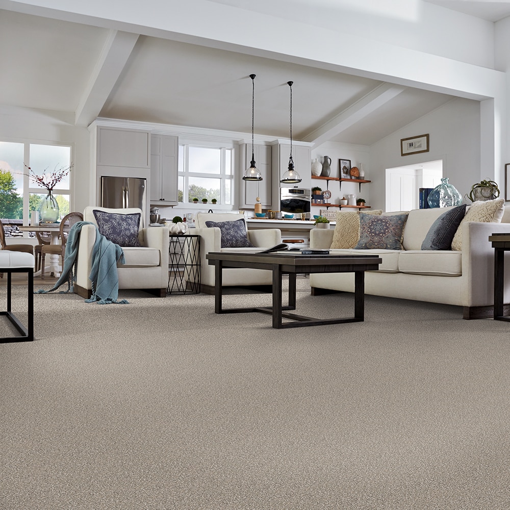 STAINMASTER S9059-849-1200-MO Carpet-Panel - View #5