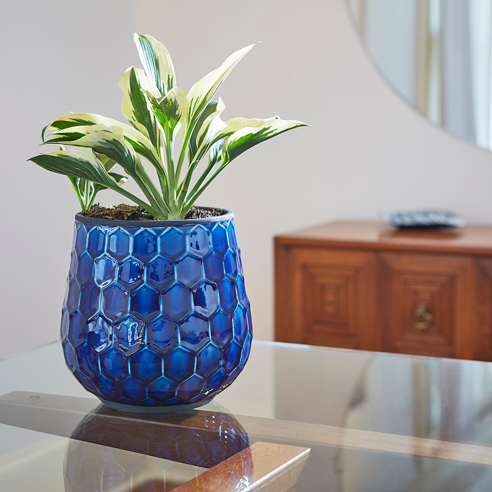Southern Patio CRM-047087P2 Planter-Window-Box - View #7