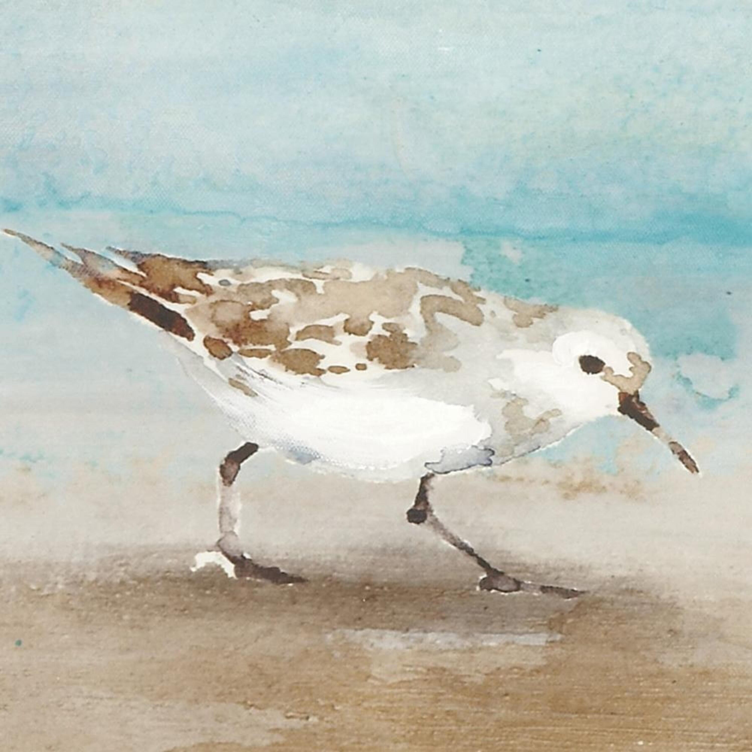 White and Blue Coastal Bird Canvas Framed Wall Art