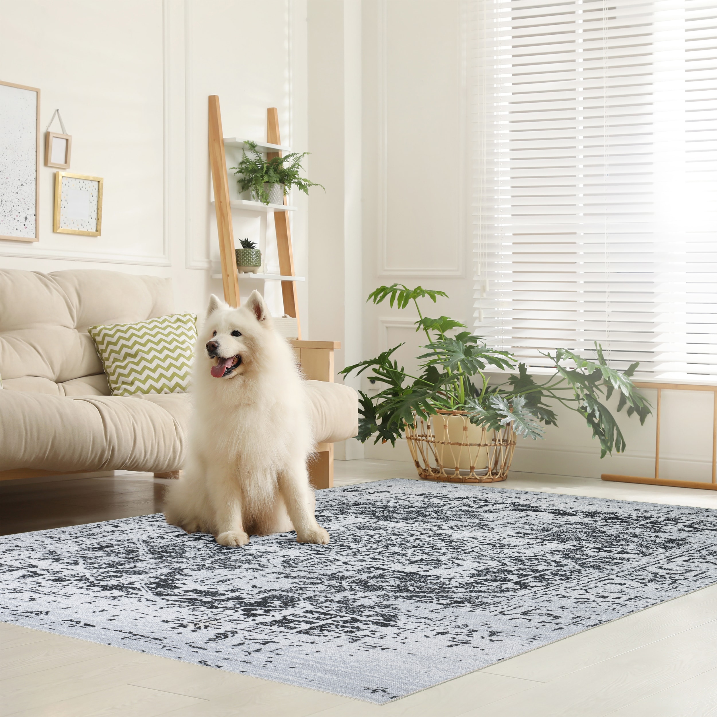 Playa Rug PLY-HMY-BLK-9X12 rugs - View #6