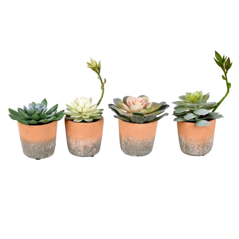Vickerman FH192304 7-in Green Indoor Succulent Artificial Plant