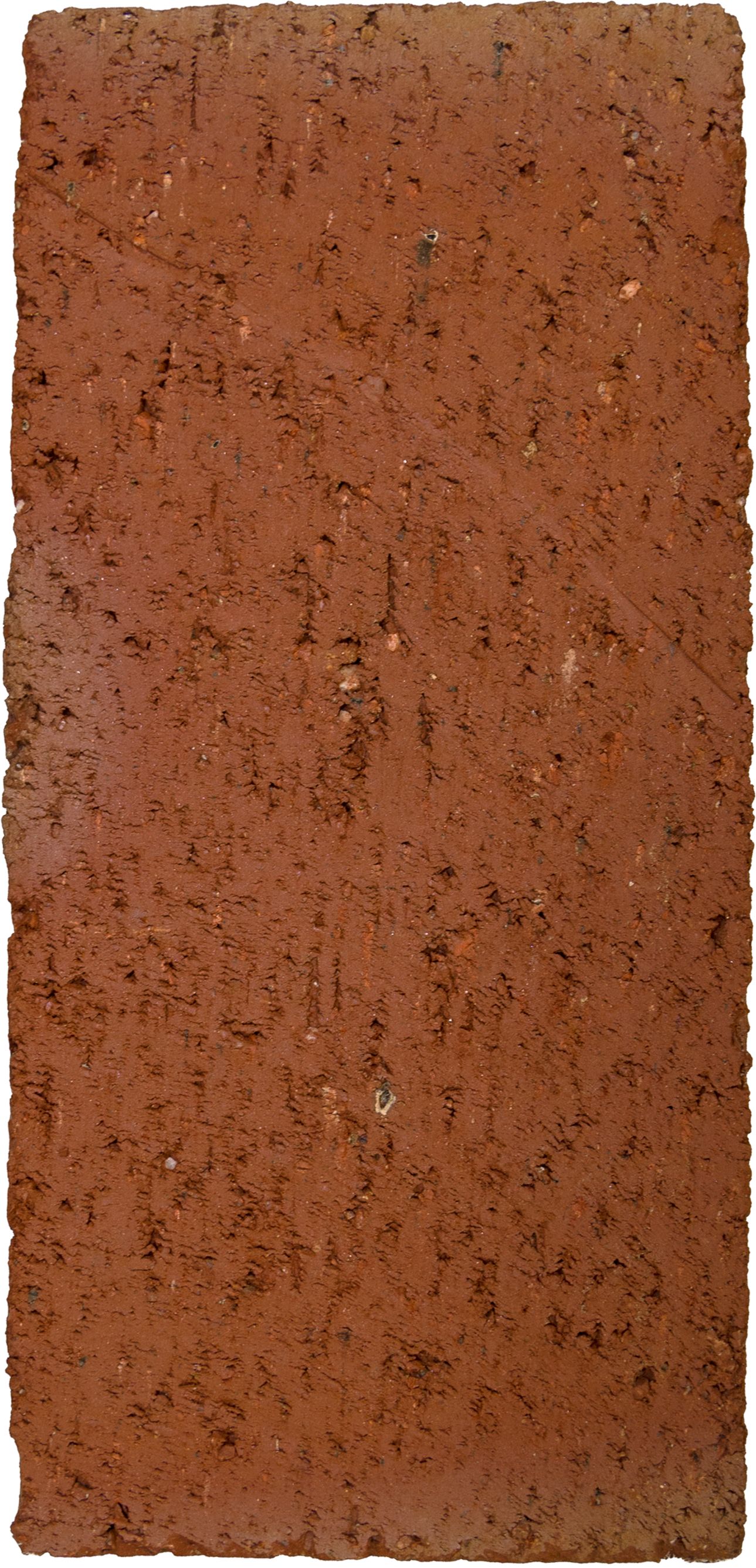 8-in x 4-in Red Clay Cored Brick
