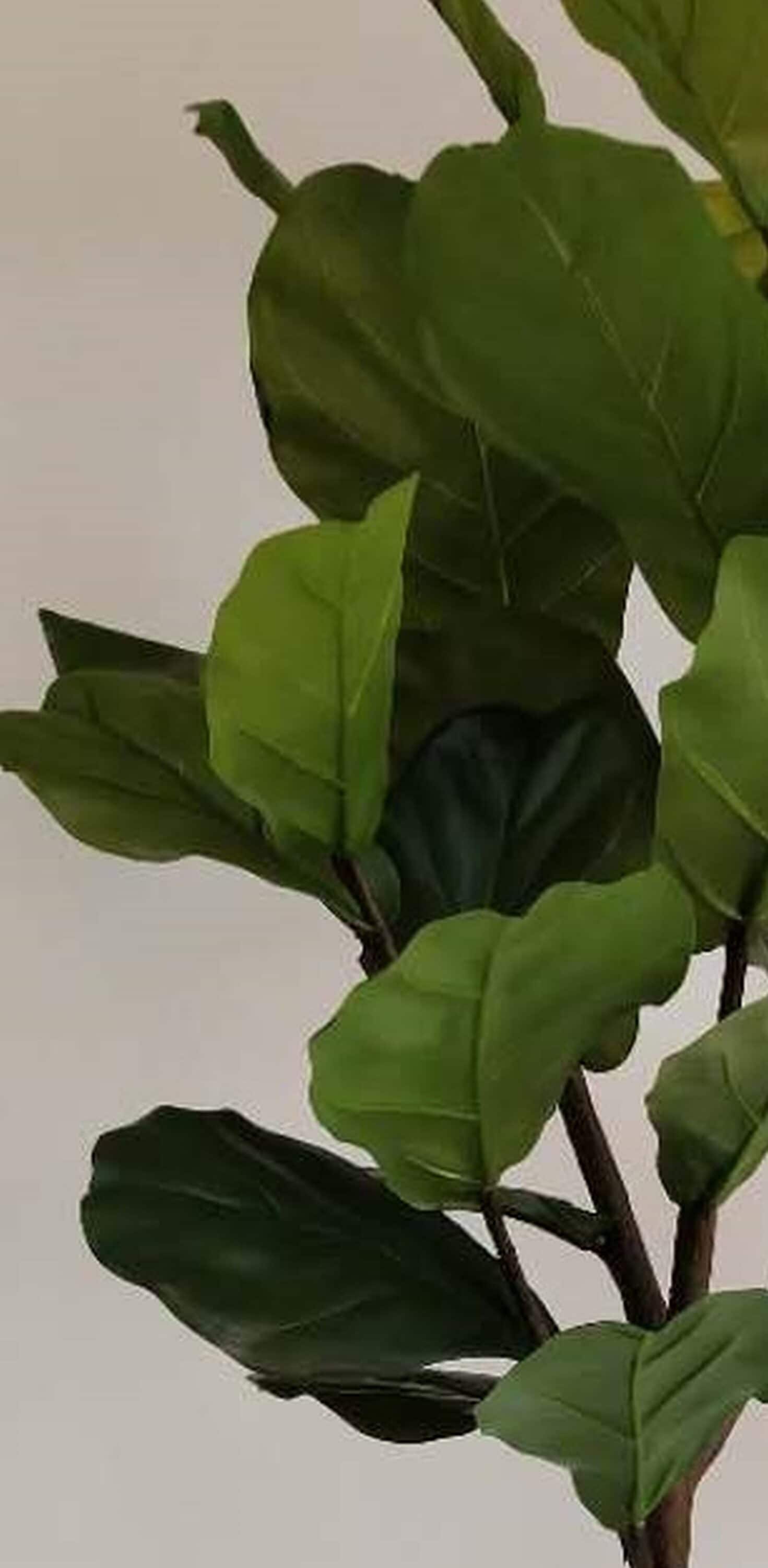 allen + roth 19LOW265R1 Artificial-Plants-Trees - View #4
