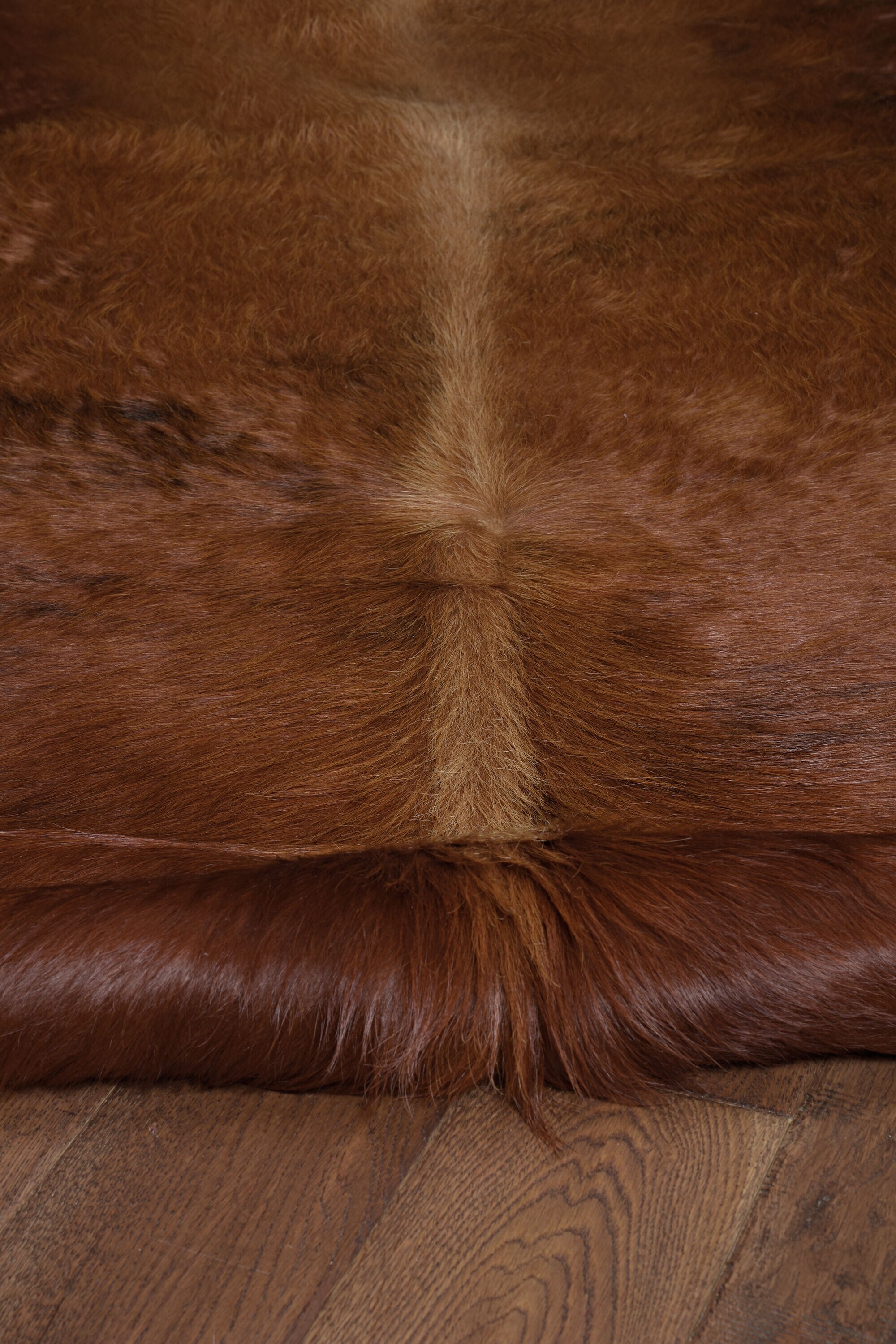Linon RUG-CH02 rugs - View #3