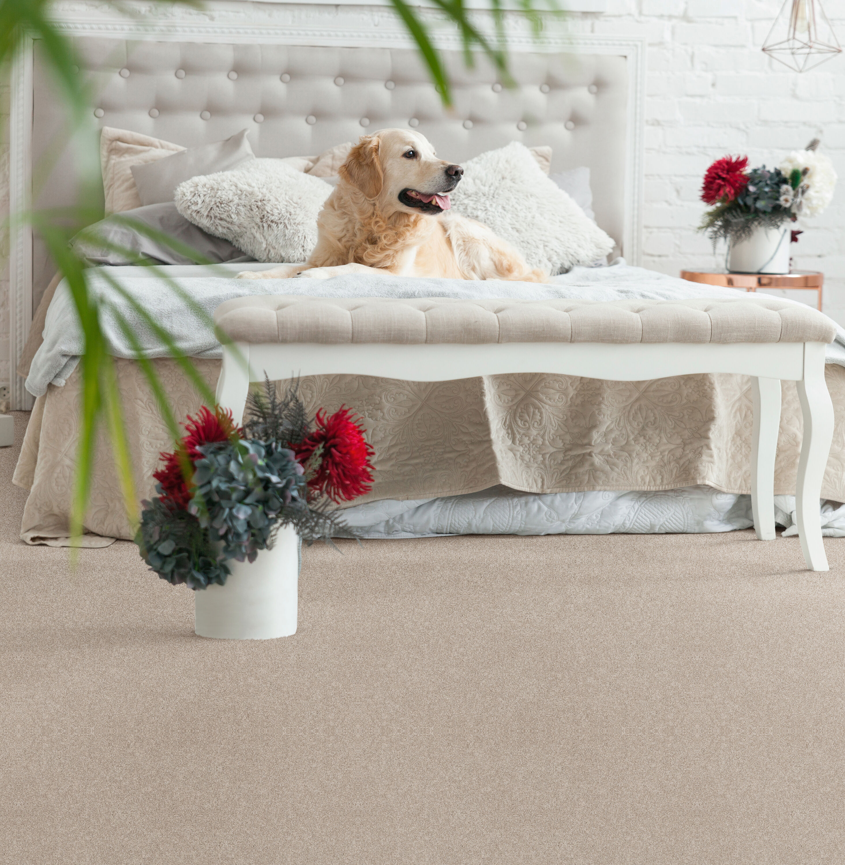 STAINMASTER 7L908 - 743 - SAMP Carpet-Samples - View #4
