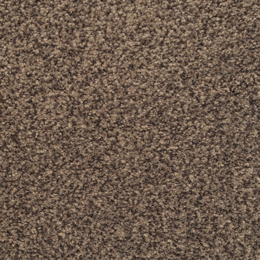 STAINMASTER Signature Informal Affair Wisteria Textured Indoor Carpet ...