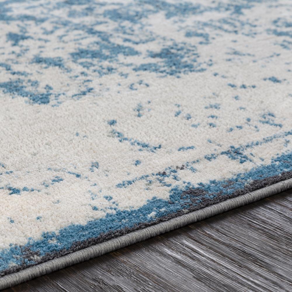 Surya APY1006-7696 rugs - View #4