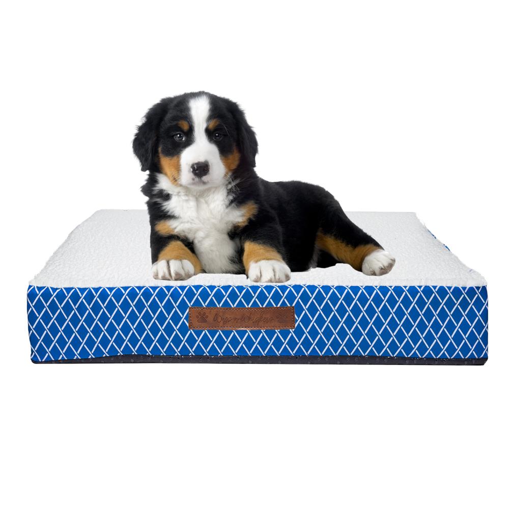Duck River Textile ATHBL=12 /15909 Rectangular Blue Polyester Orthopedic Dog Bed ( Small )