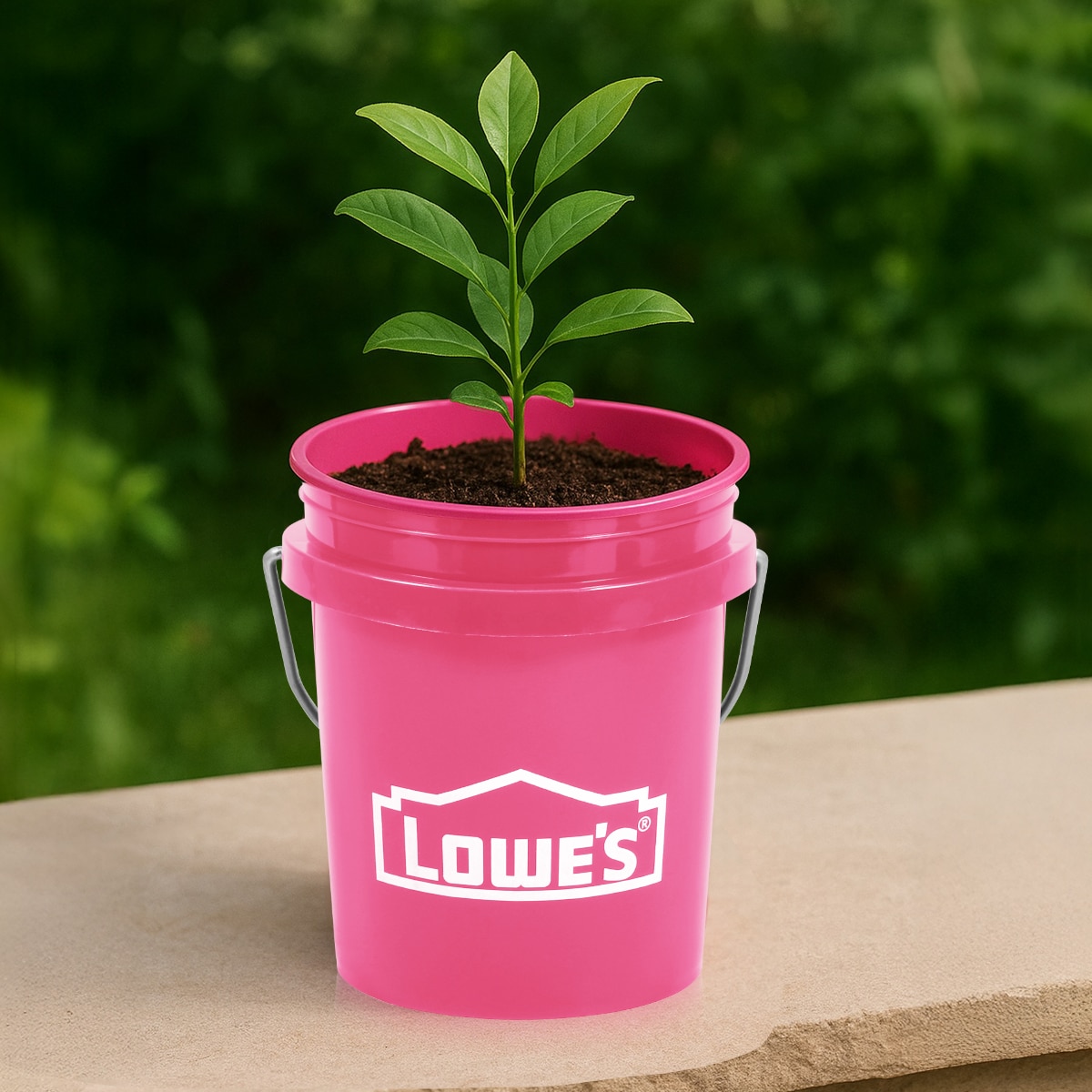 Lowe's MP2CPINK buckets - View #2