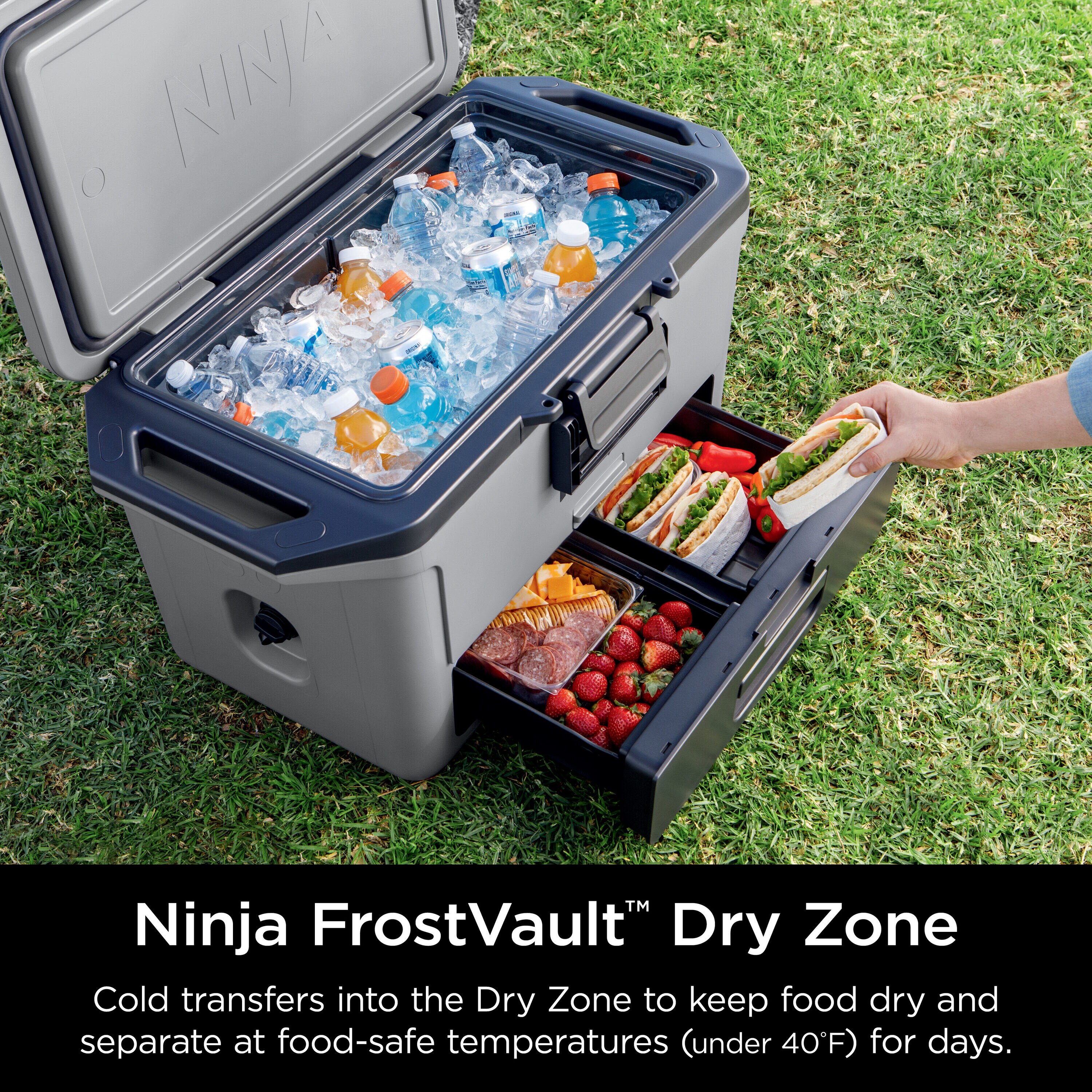 Ninja FB151GY Portable-Coolers - View #3