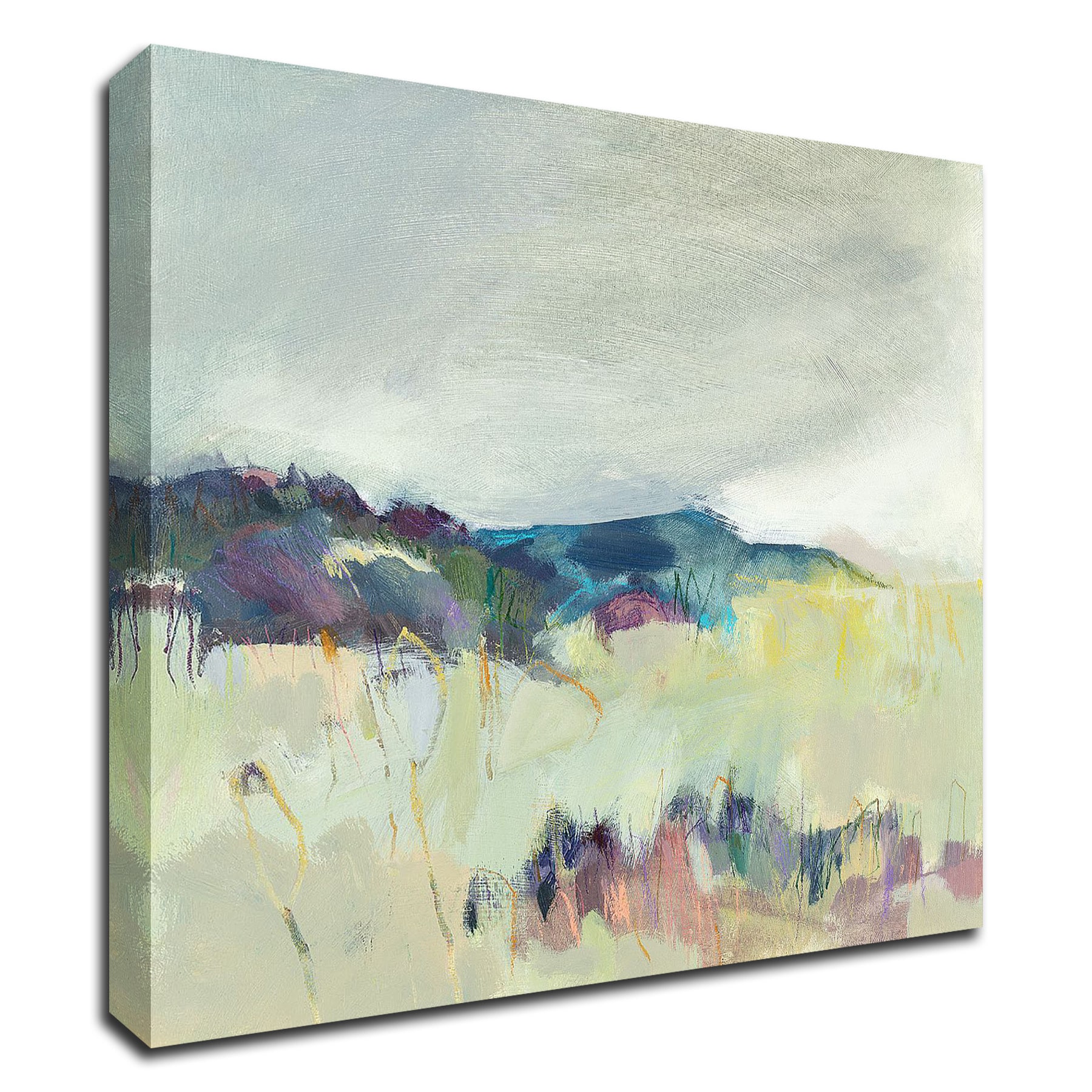 Tangletown Fine Art 8S1415DC-1818 Take A Moment Alice Sheridan 18-in H x 18-in W Abstract Print on Canvas