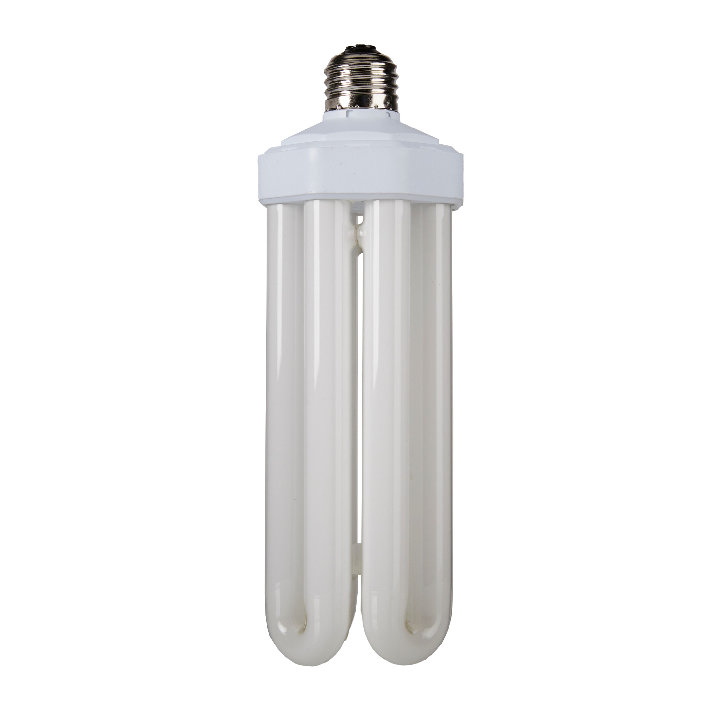 compact fluorescent light bulbs