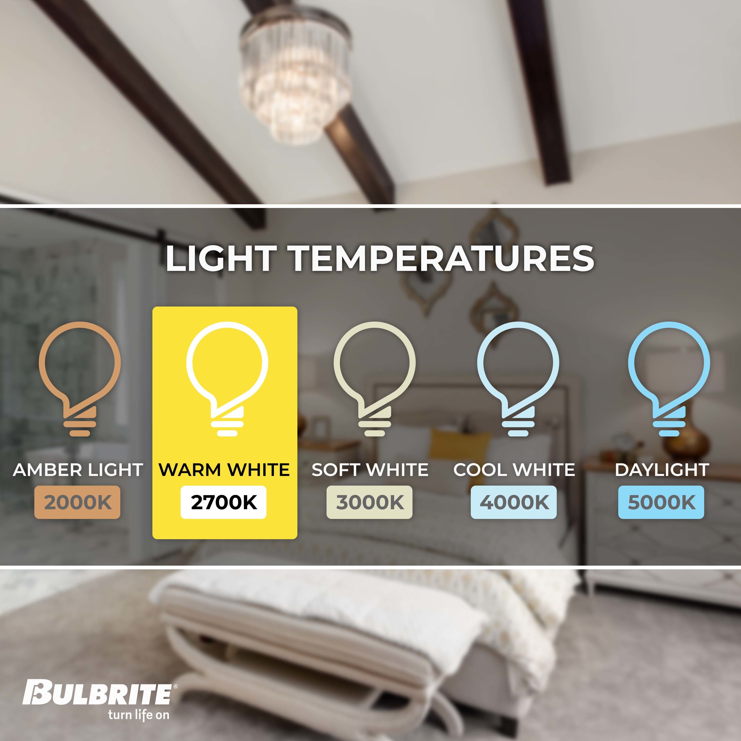 Bulbrite 861500 Dec-Led-Light-Bulbs - View #4