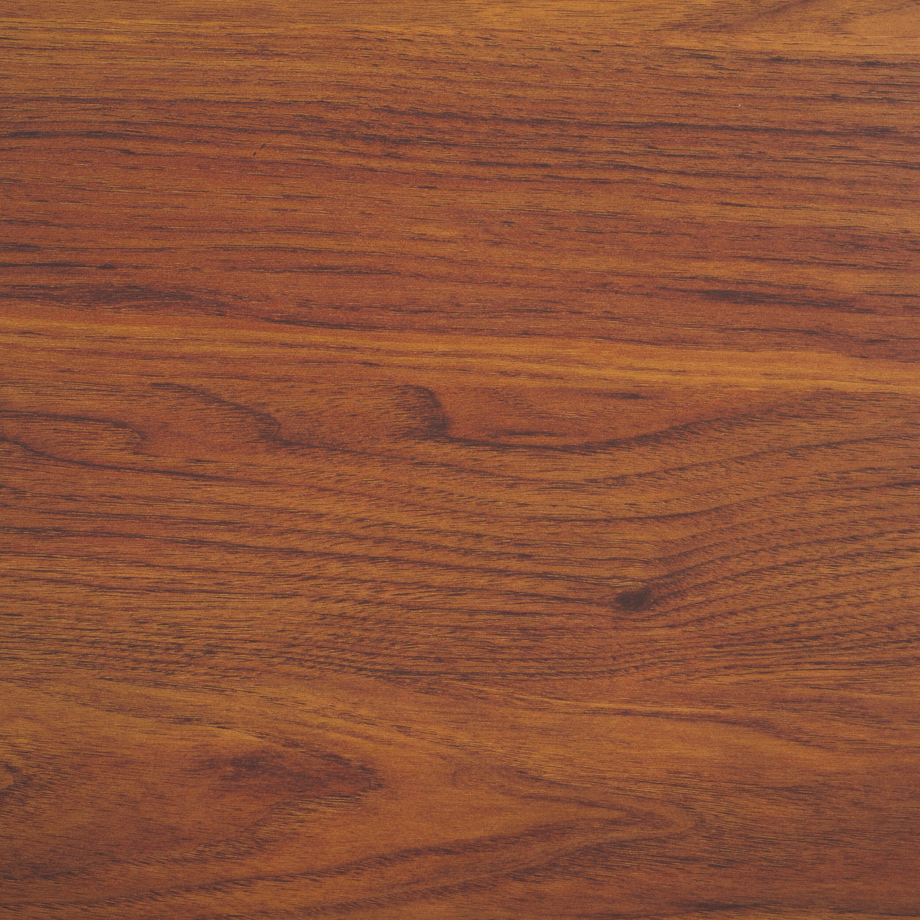 Safavieh NST9608A Coatrack-Stands-Pedestals - View #11