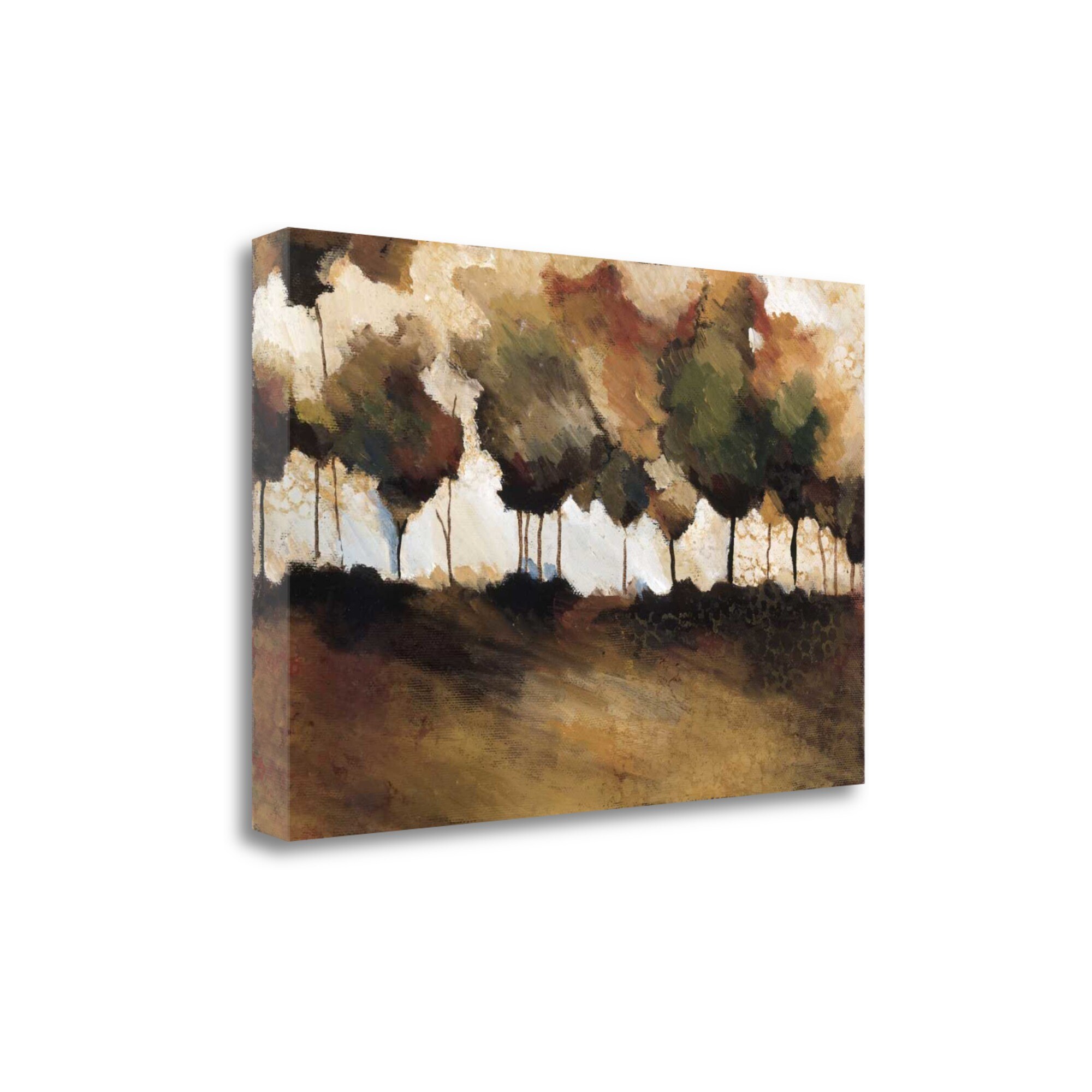 Tangletown Fine Art CAKZP100-2416C Frost Winter Zipi Kammar 16-in H x 24-in W Abstract Print on Canvas