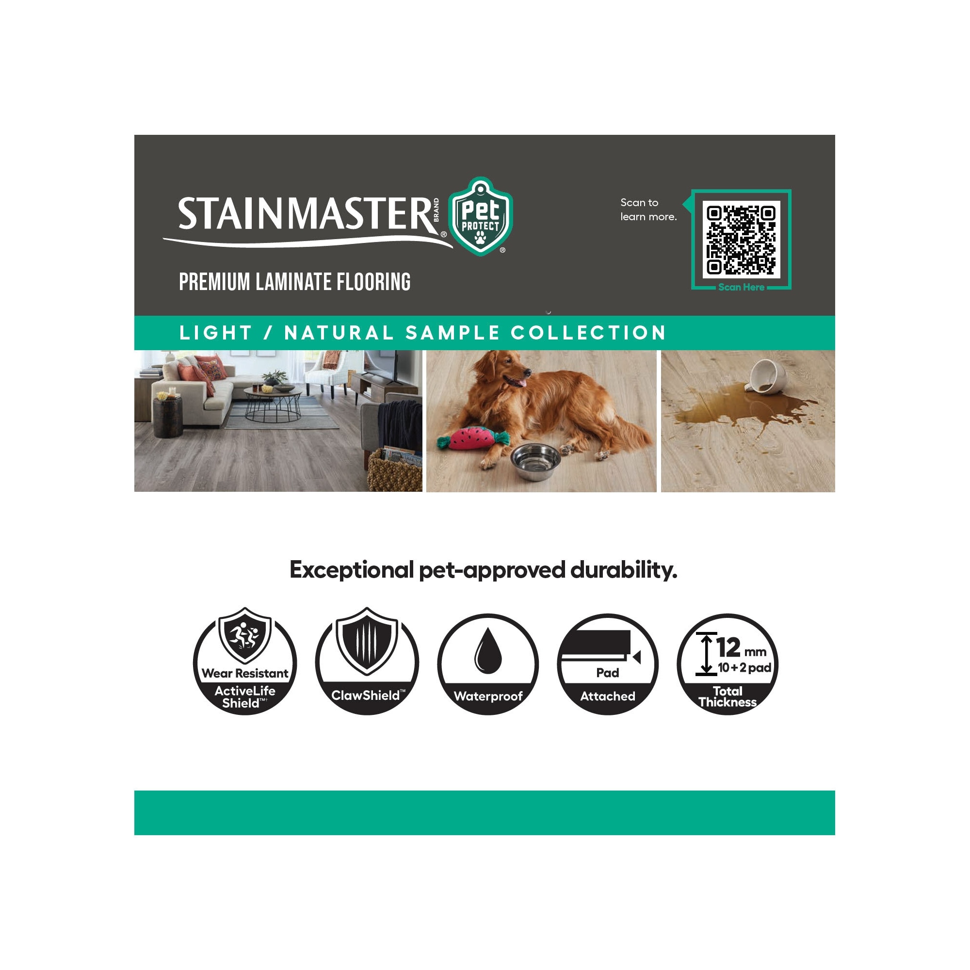 STAINMASTER PetProtect SBX0063786 Laminate-Flooring-Samples - View #2