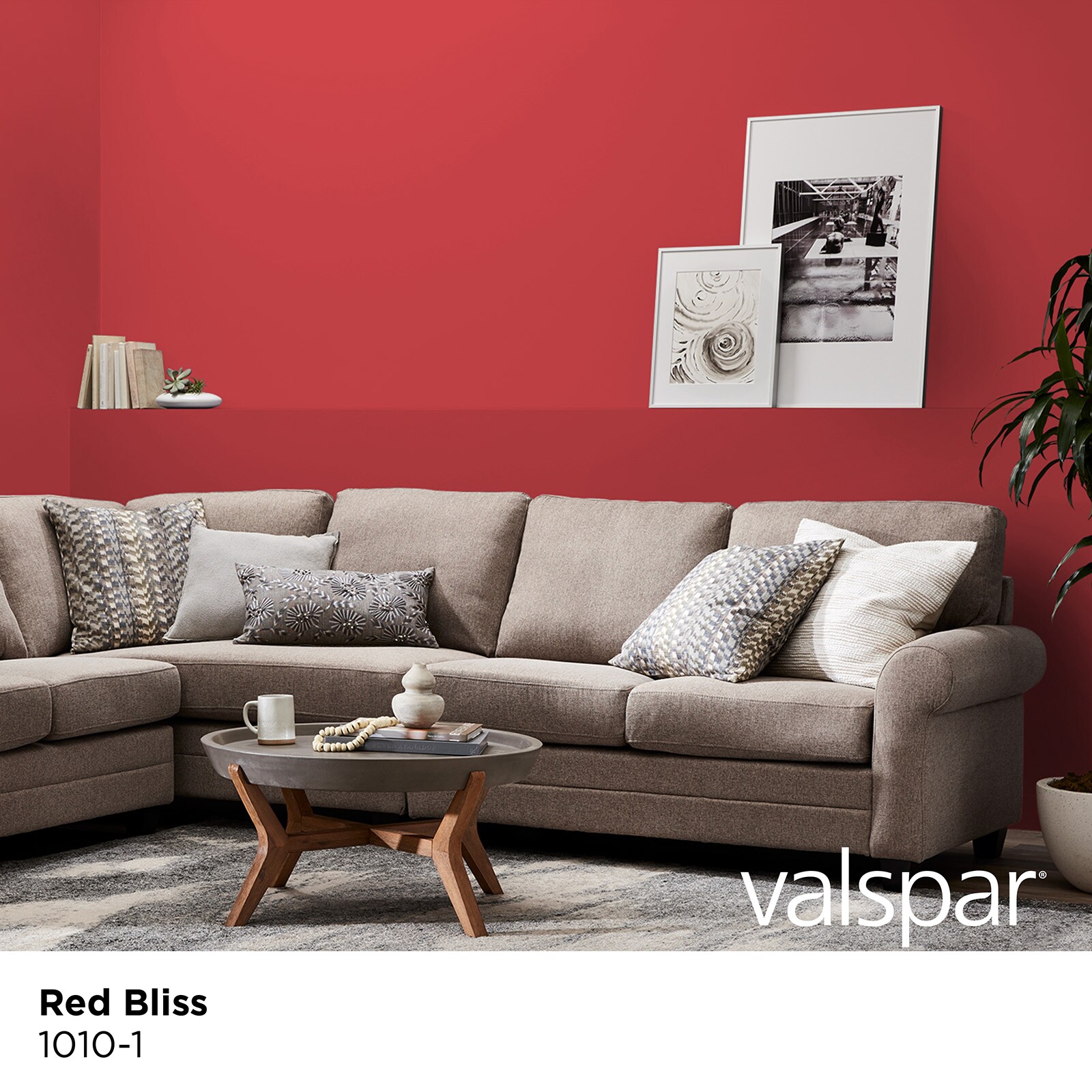 Valspar 1010-1-2916582 Int-Ext-Paint - View #2