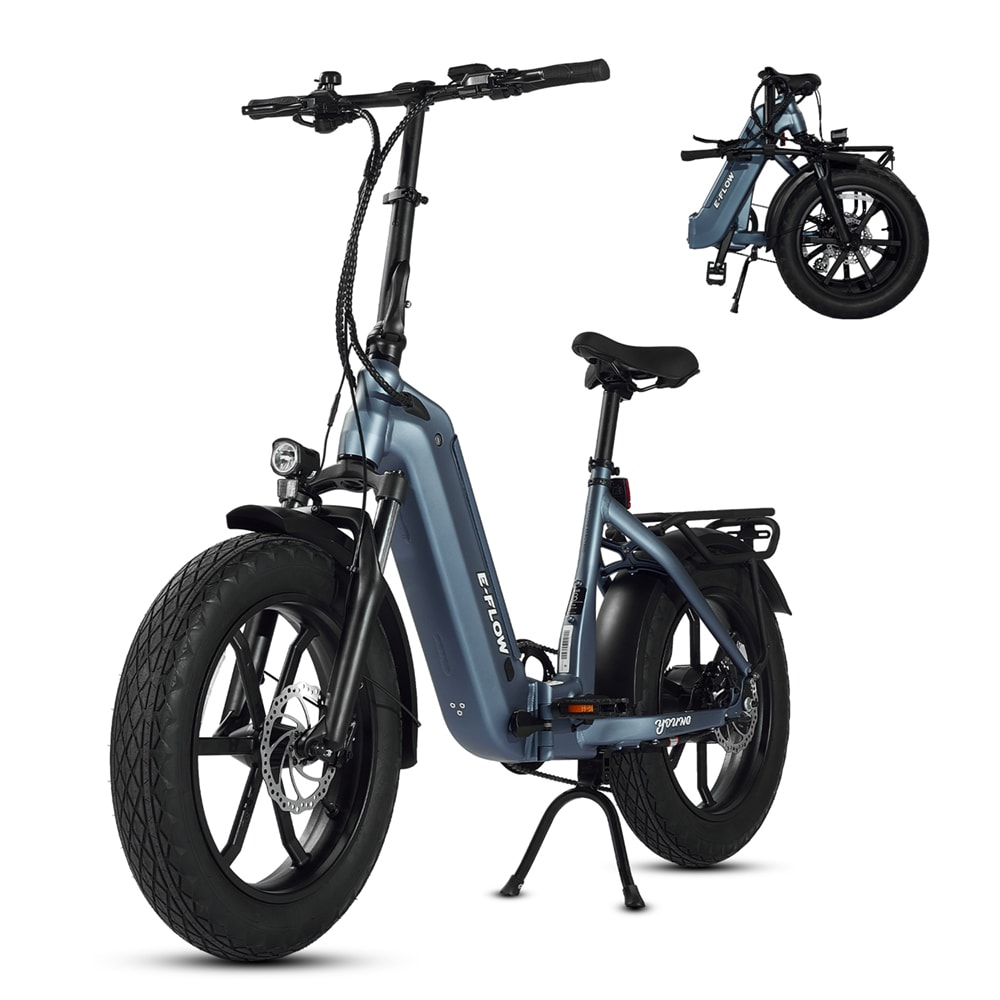 Young Electric 12803020DB 20-in Adult unisex E-bike