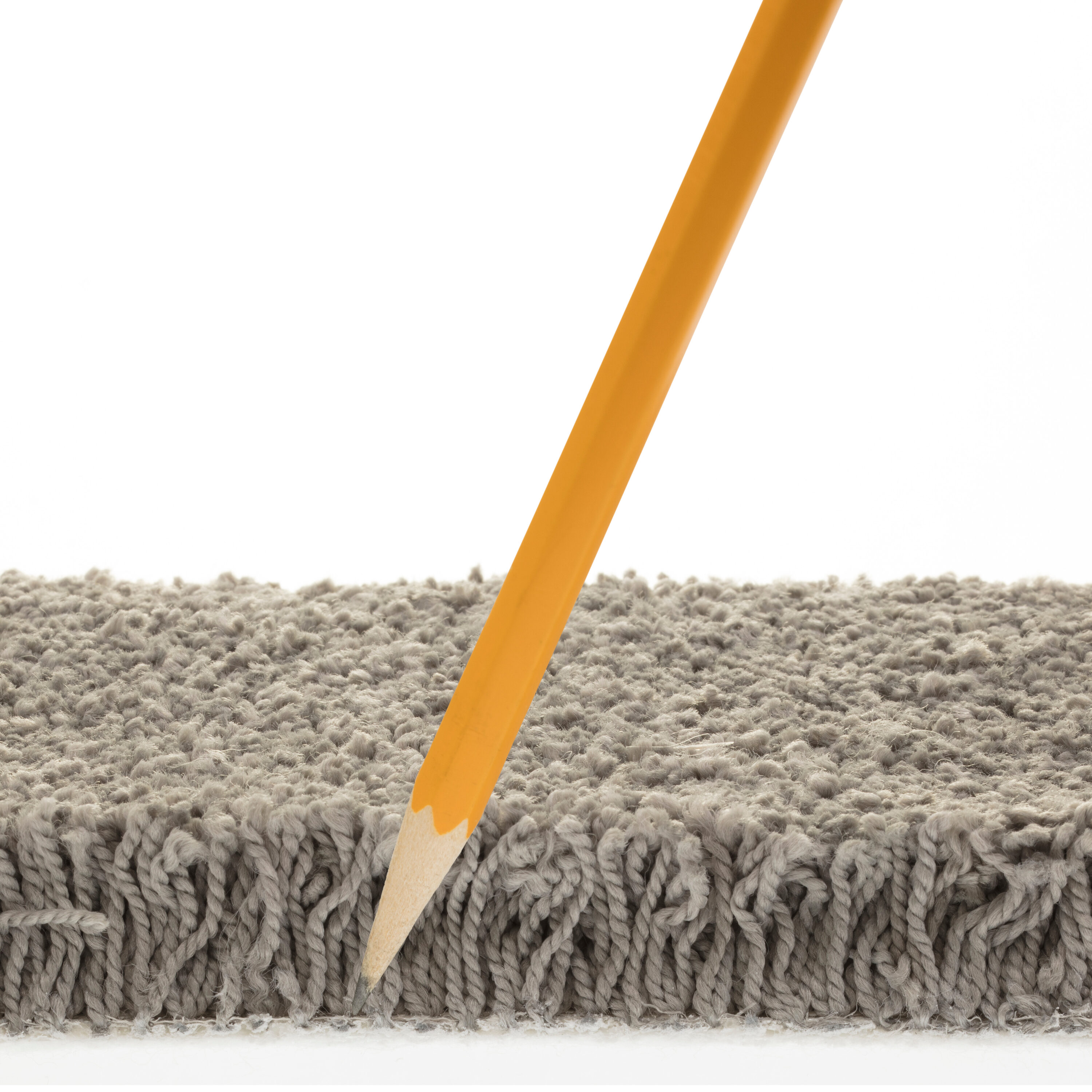 STAINMASTER 7L793-527-SAMP Carpet-Samples - View #6