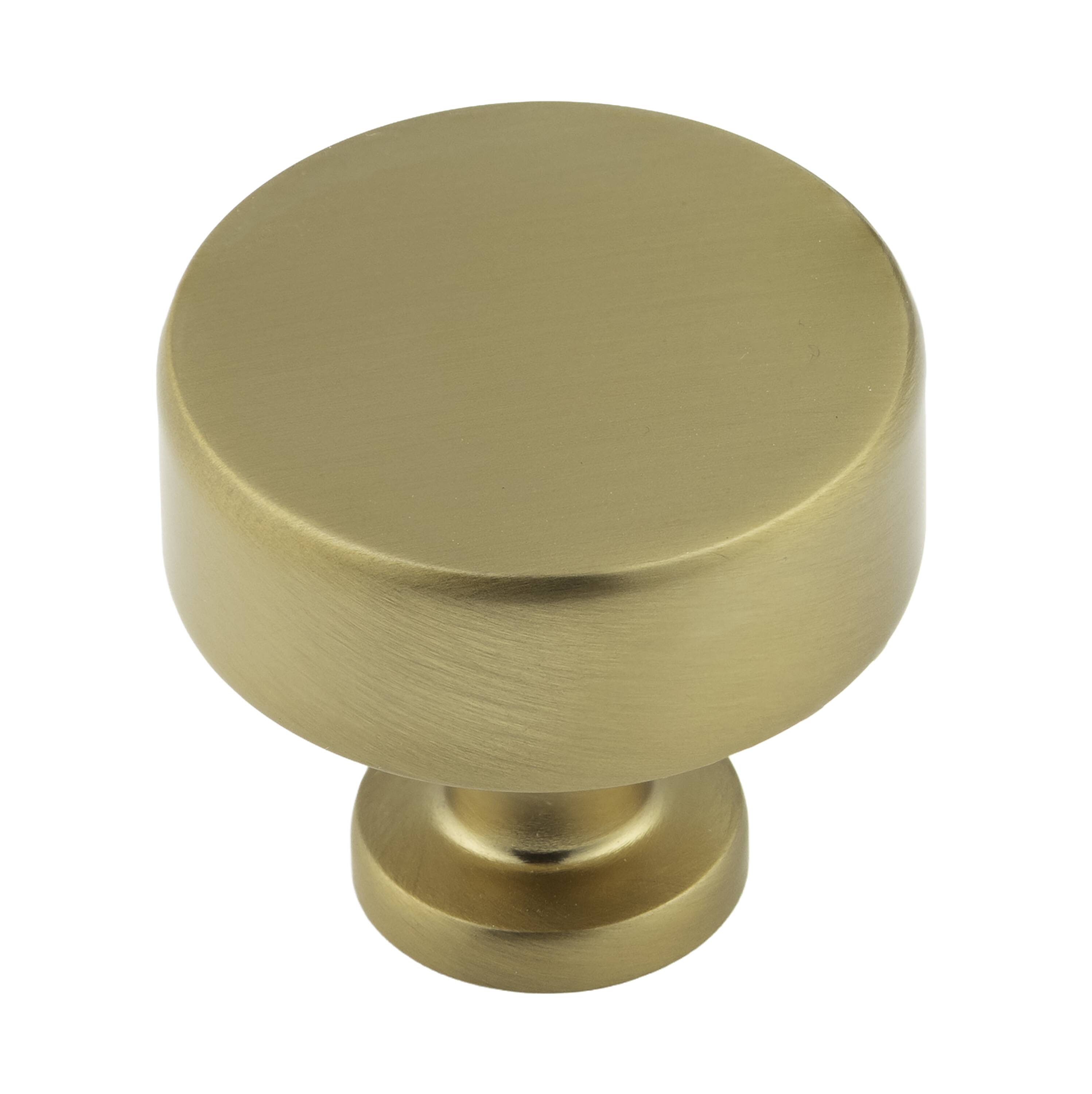 Harper Hayes Evan 1-3/16-in Champagne Bronze Round Modern Cabinet Knob
