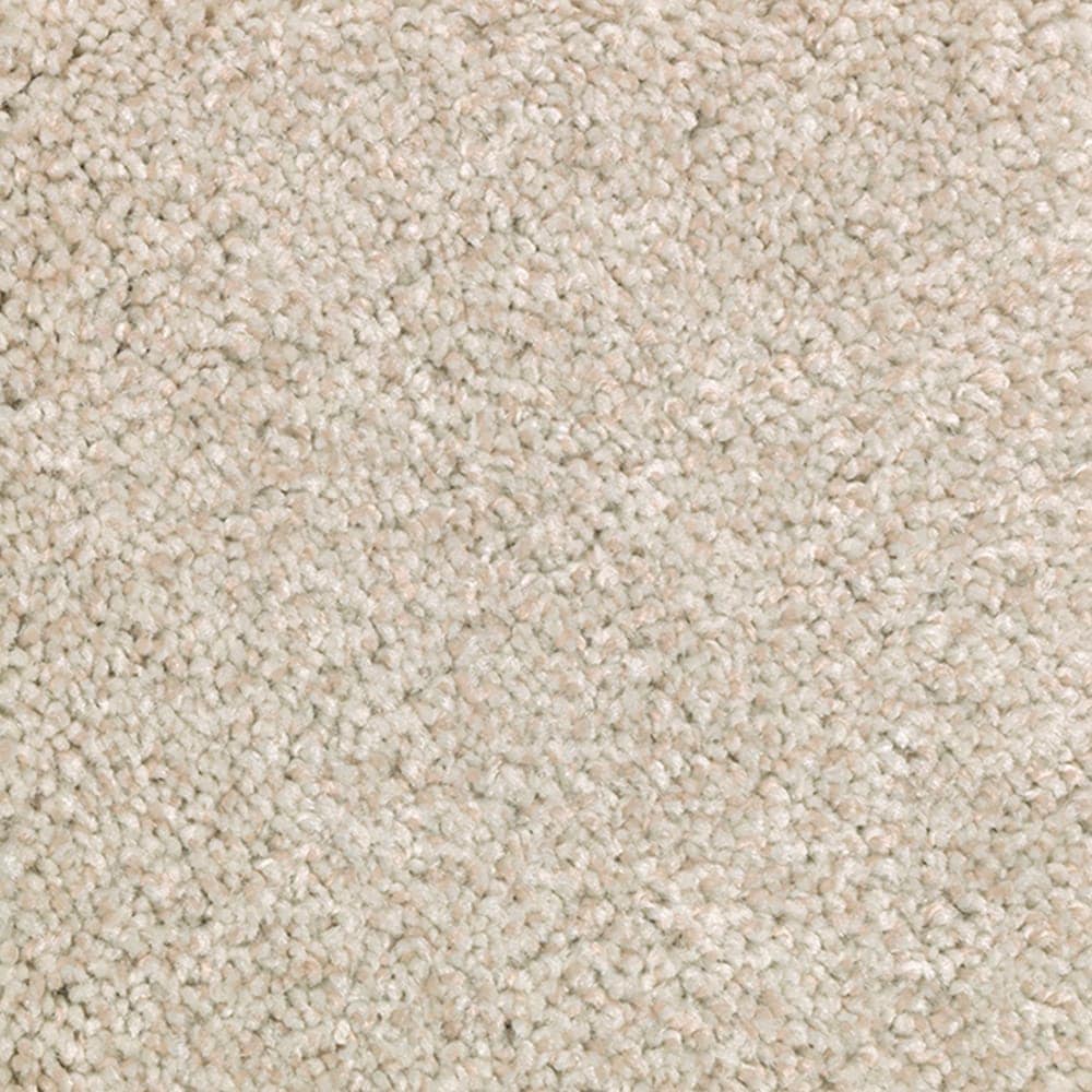 STAINMASTER Gentle Giant at Sand Textured Indoor Carpet Wet