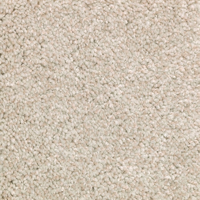 STAINMASTER Gentle Giant Wet Sand Textured Indoor Carpet at
