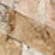 Scabos Travertine