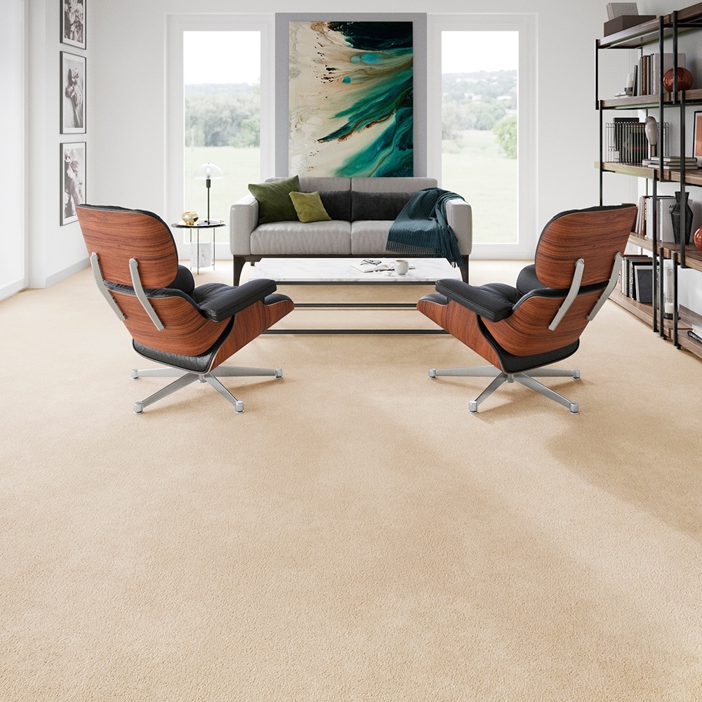 STAINMASTER PetProtect SS009-12-L018 Carpet-Panel - View #5