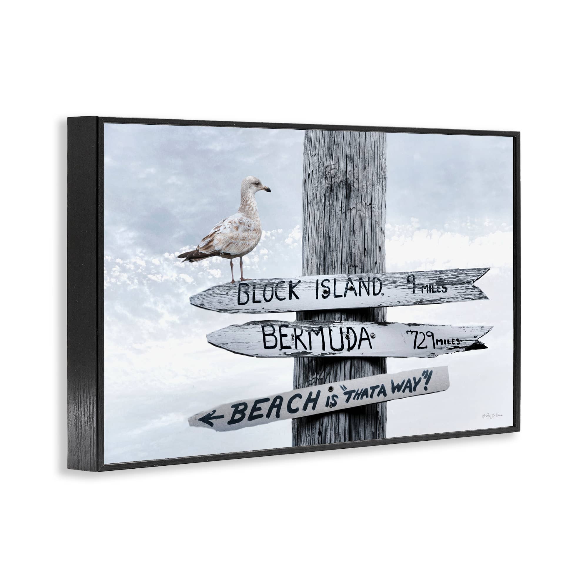 Stupell Industries BS-688-FR-16X24 Wall-Art - View #2