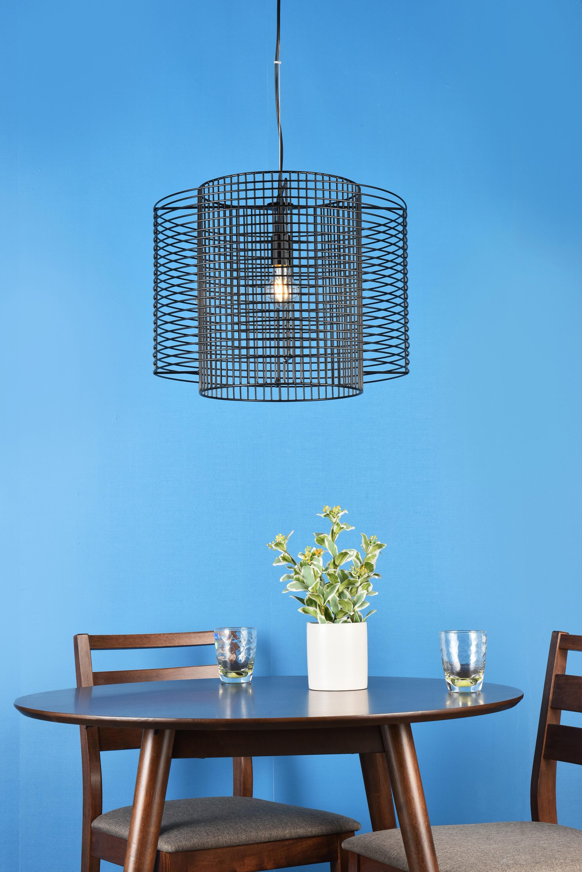 Deleon Black Iron Indoor/Outdoor LED Pendant Light
